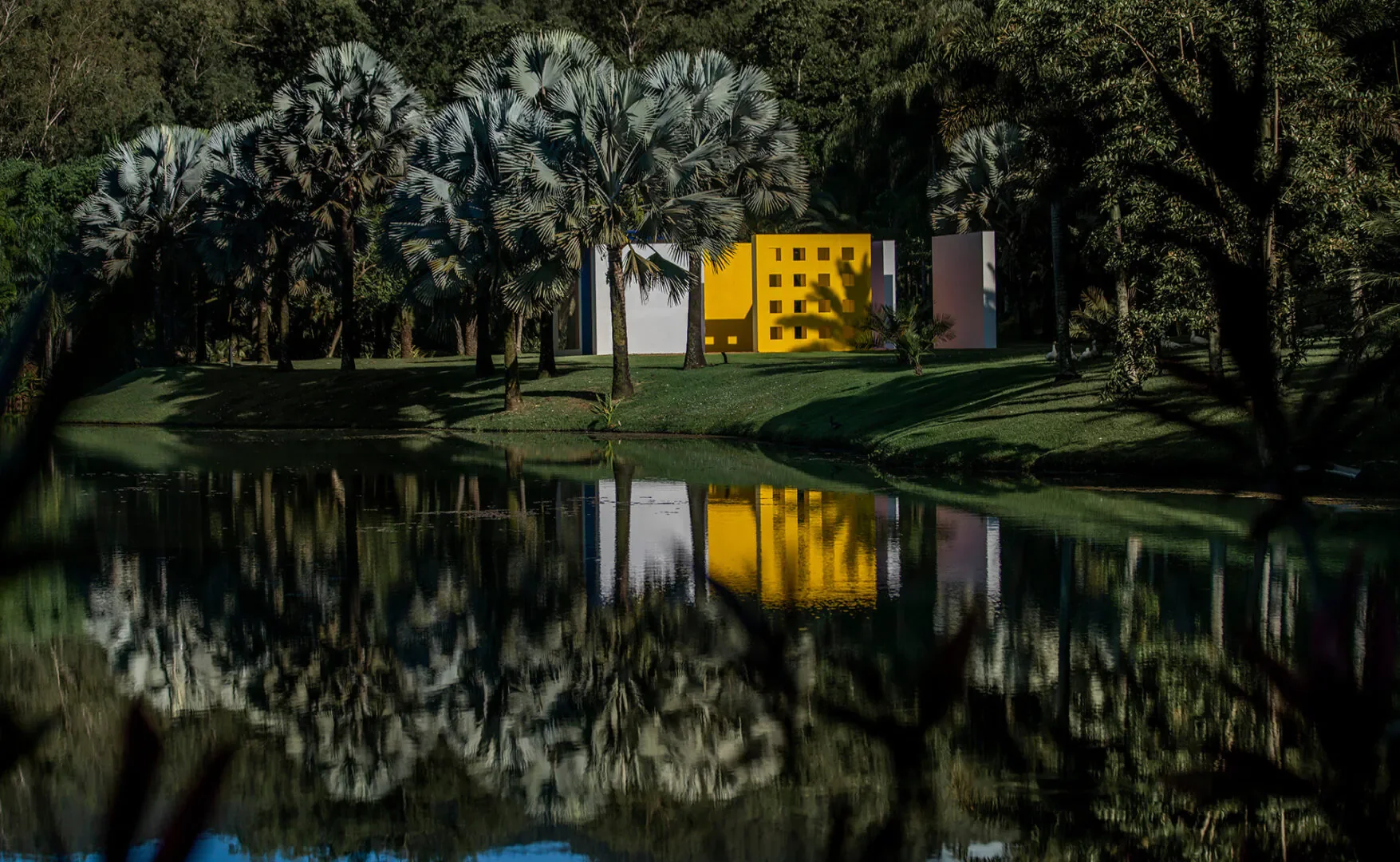 Close-up of a rhinoceros standing on the ground, showing its large horn and textured skin.