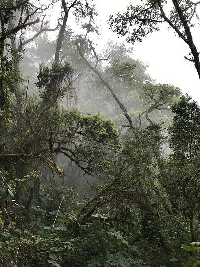 Persocal Trip - Guatemala Unleashed
