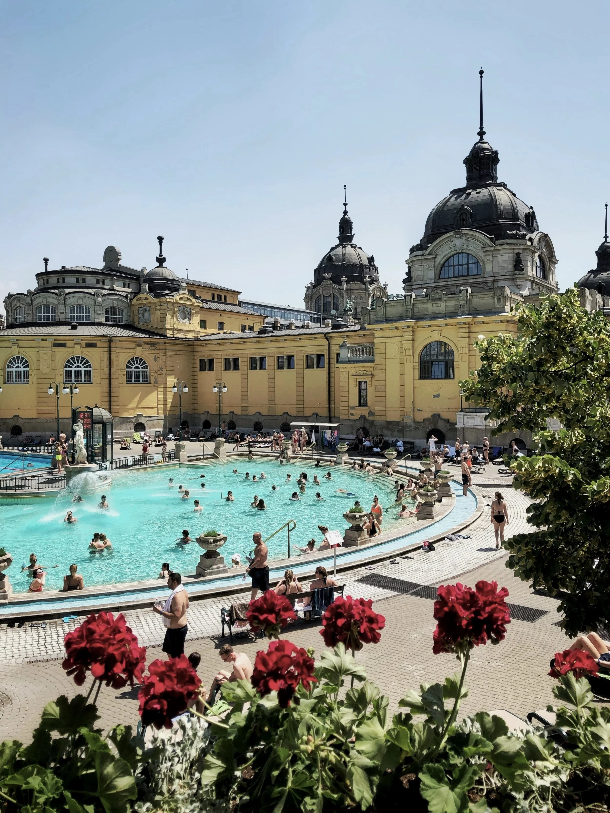 People swimming and relaxing in an outdoor pool with ornate historic buildings in the background and red flowers in the foreground.
