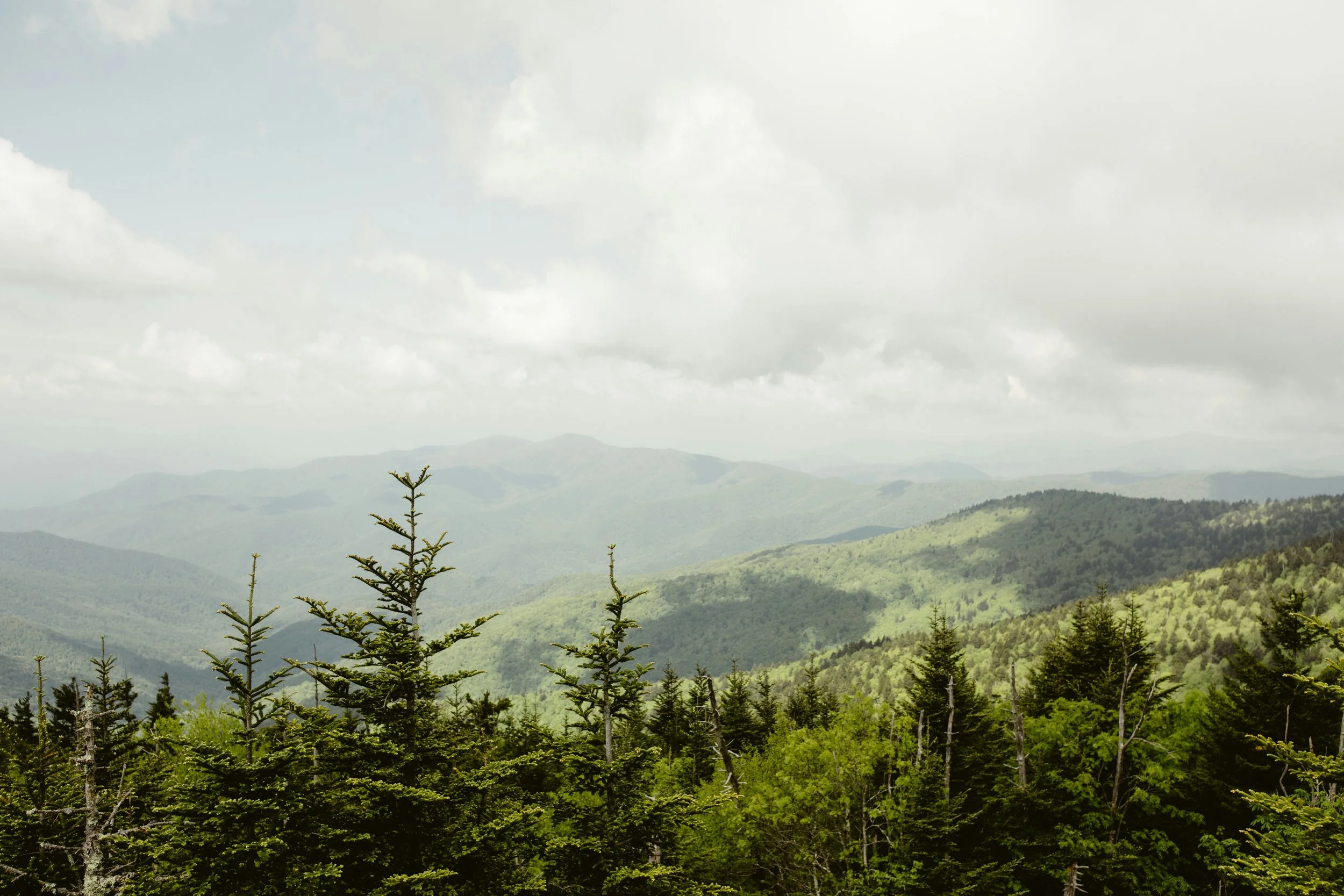A view of the Great Smoky Mountains National Park from the top of Clingman's Dome.