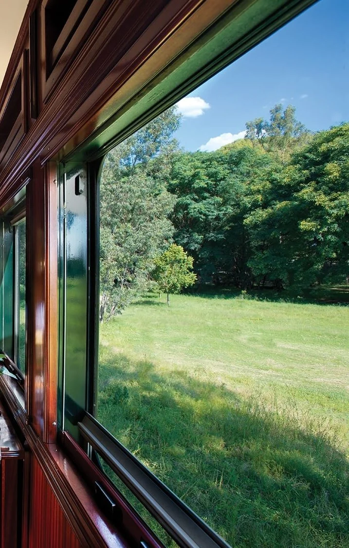 View from inside a train window showing trees and grass outside on a sunny day.