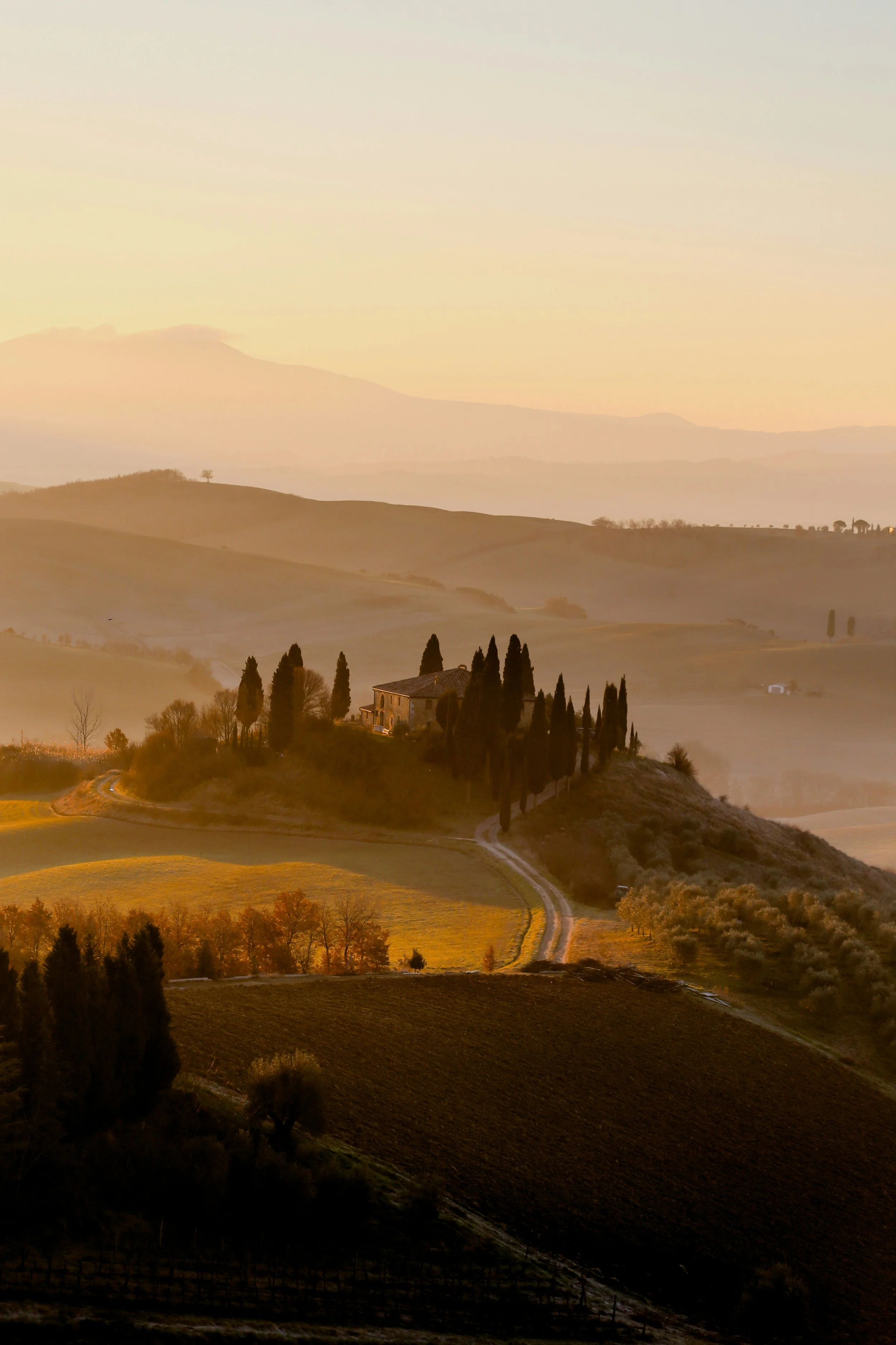 A picturesque landscape of rolling hills with a winding dirt path leading to a house surrounded by tall cypress trees, during sunset or sunrise in Tuscany, Italy.