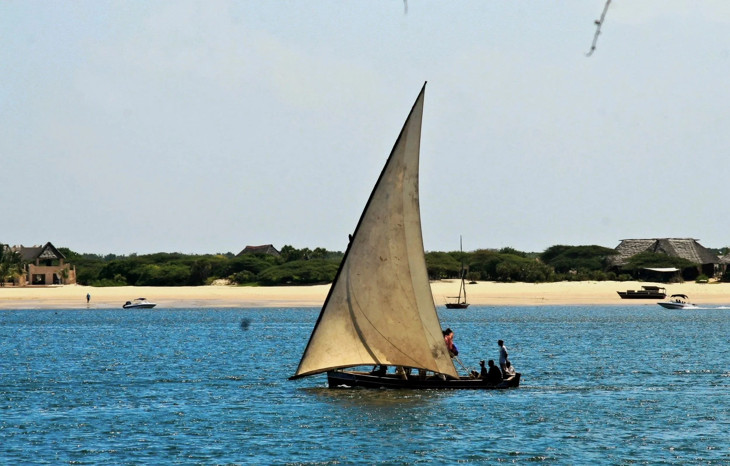 A boat with a large sail on a body of water, with a sandy beach and houses in the background.