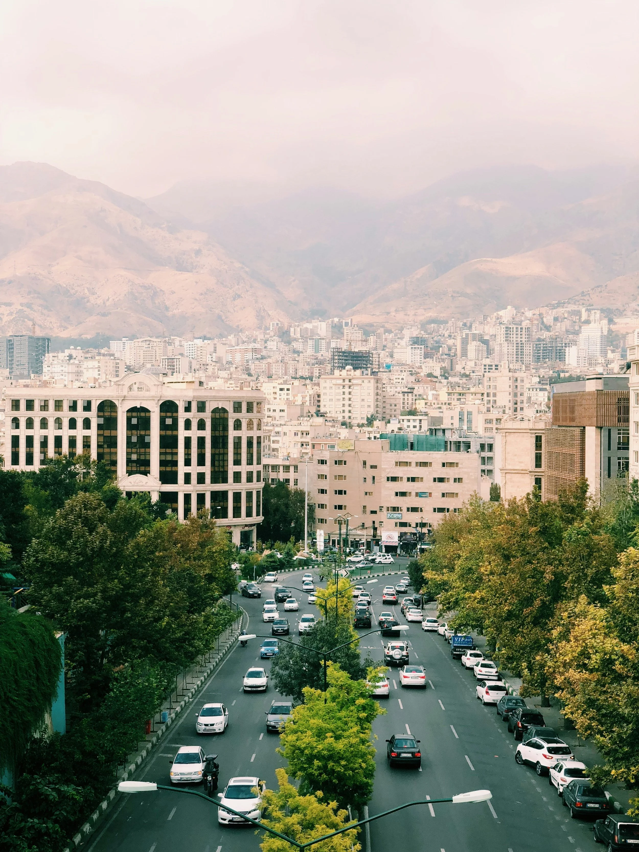City street with cars and trees, buildings, mountainous background, overcast sky