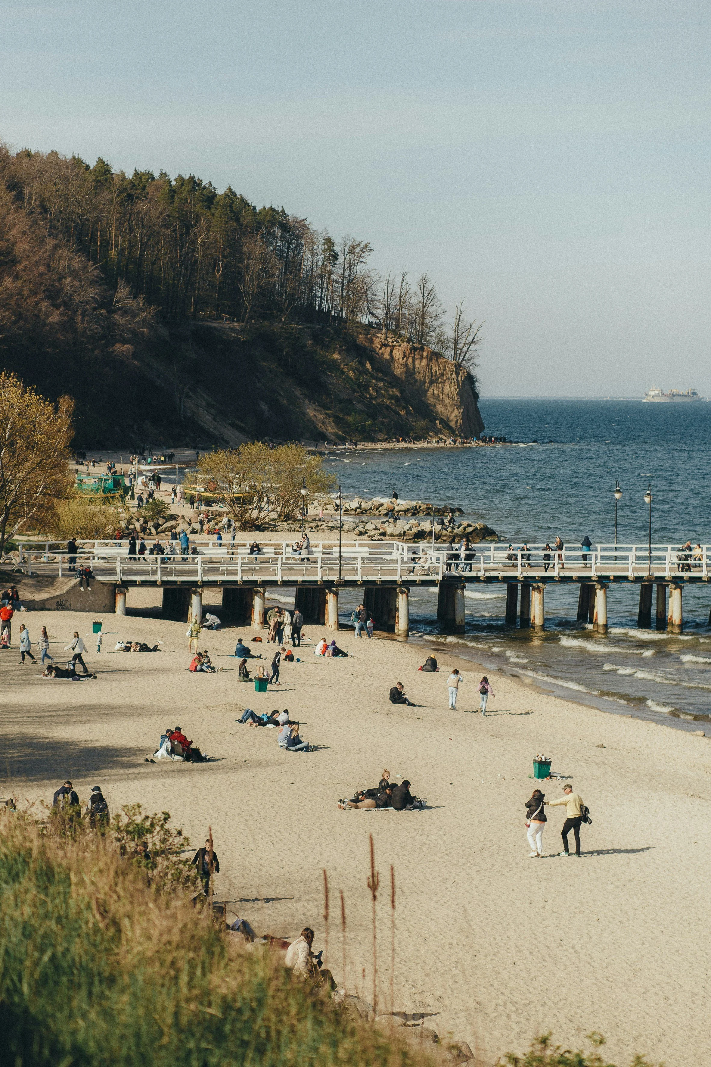 A busy beach scene with people sitting and walking on the sandy shore, some sitting in groups or alone, and a pier extending into the water. There is a large cliff with trees in the background and a ship visible in the ocean.