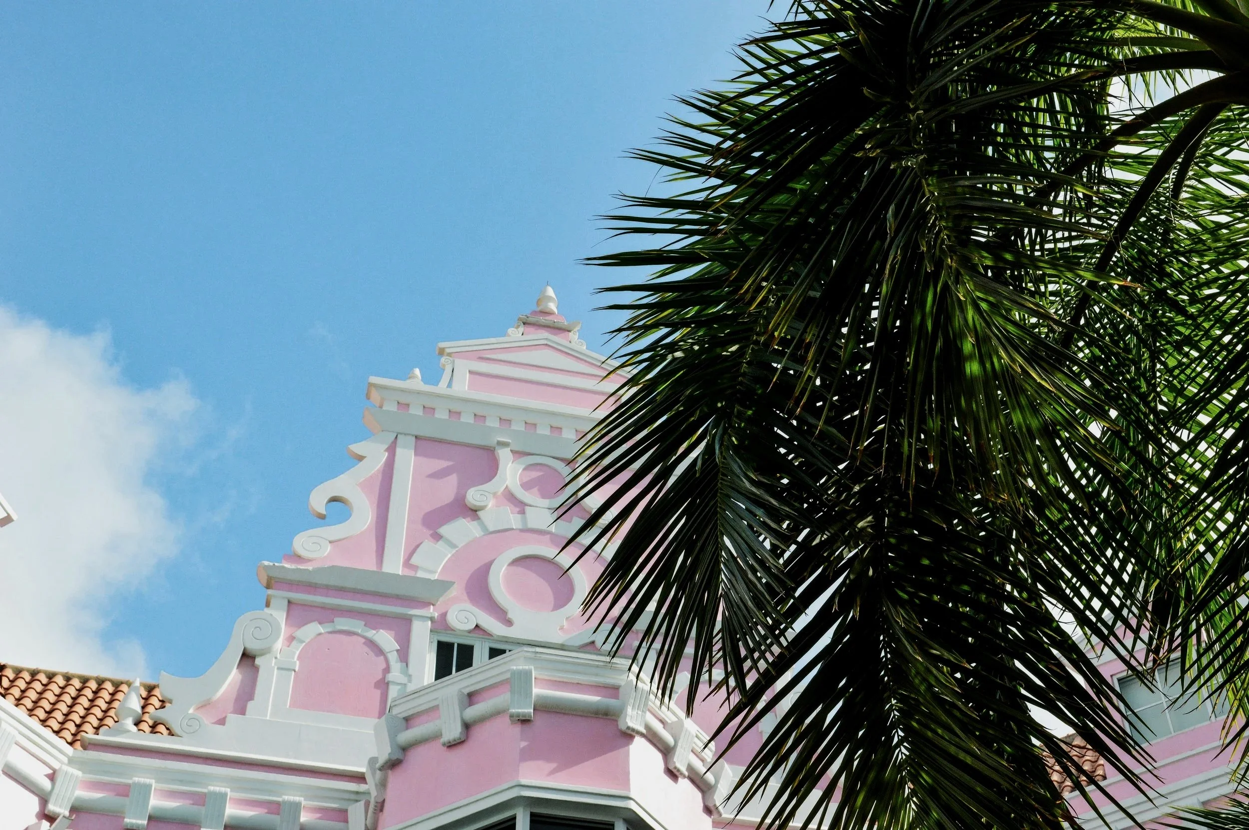 Pink and white building with ornate architecture partially obscured by large palm tree leaves, against a bright blue sky.