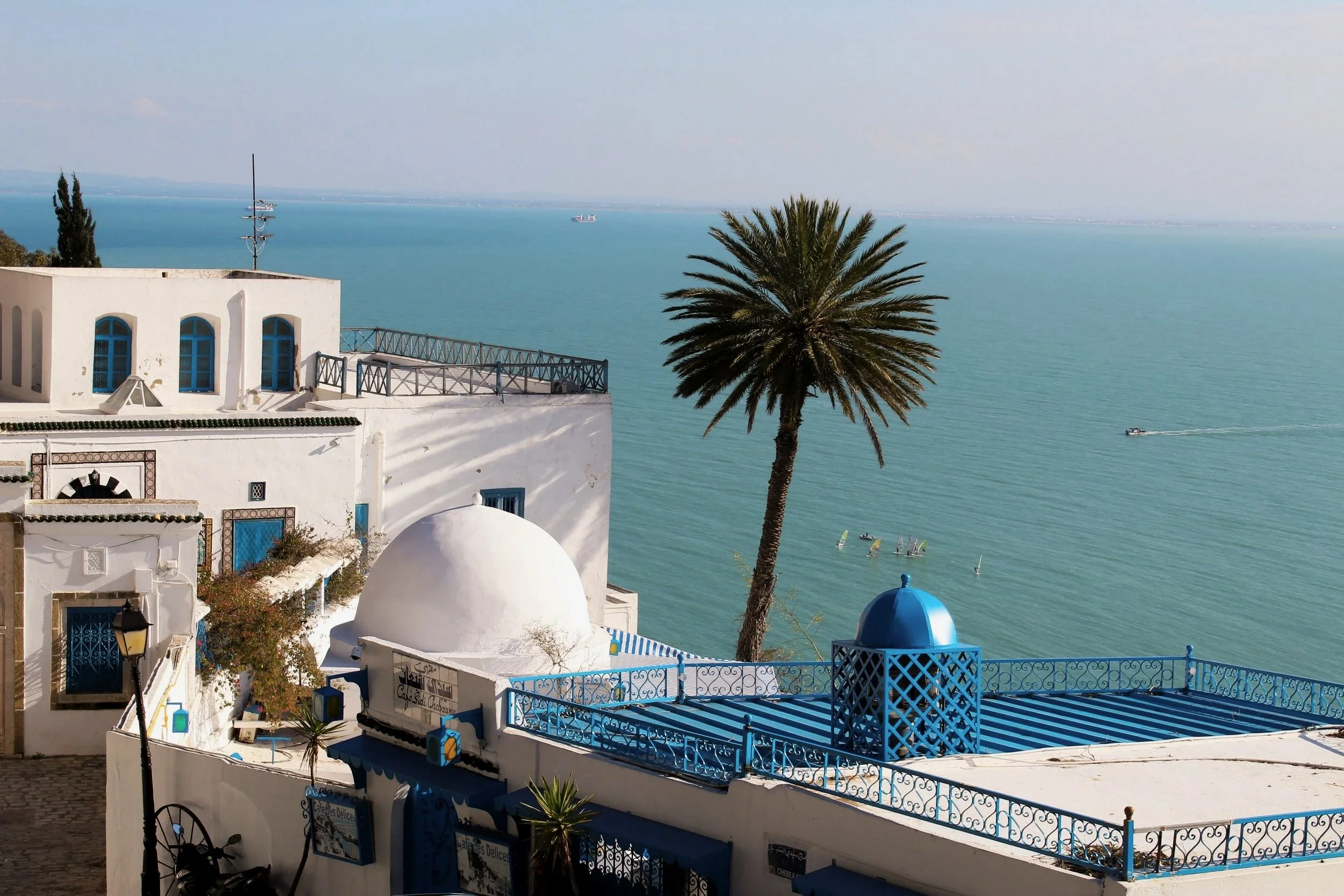 White Mediterranean-style buildings with blue accents and a large palm tree overlooking the sea with boats and sailboats in the water.