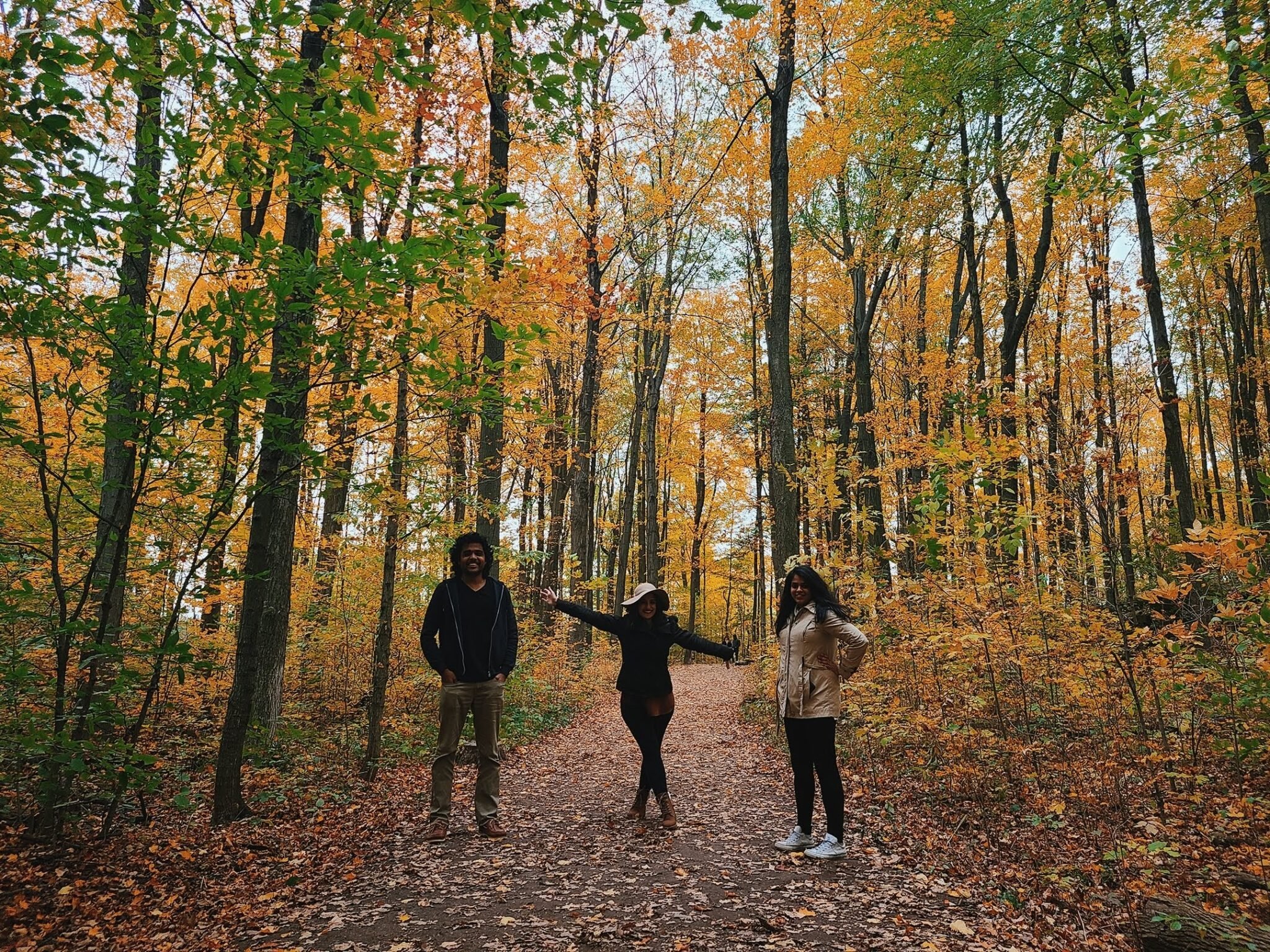 The Dance Of&nbsp;Mood&nbsp;And Change Of&nbsp;Seasons