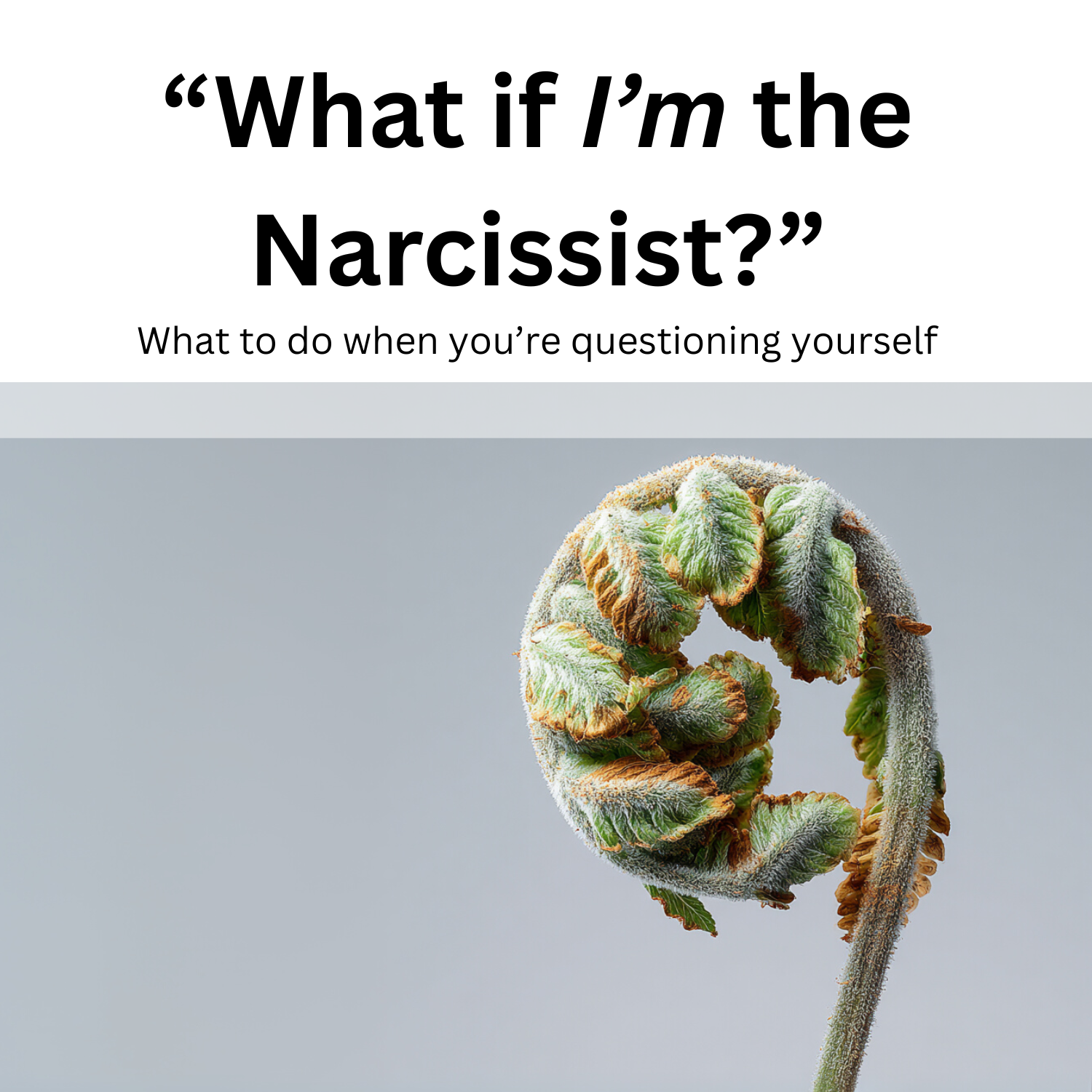 What if I'm The Narcissist? Coping Kit