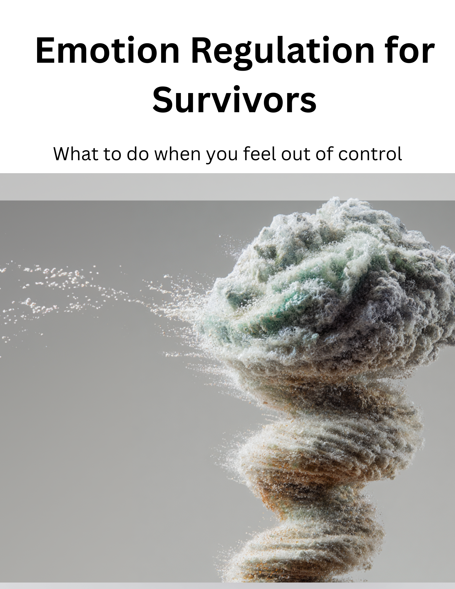 Emotion Regulation for Survivors of Coercive Control & Narcissistic Abuse