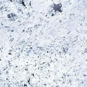 Labrador-Bianca_fs8wHuvkmizGsO69Quua.jpg