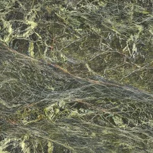 Rainforest-Green_6gInv72lp3lOMIJy7O48.jpg