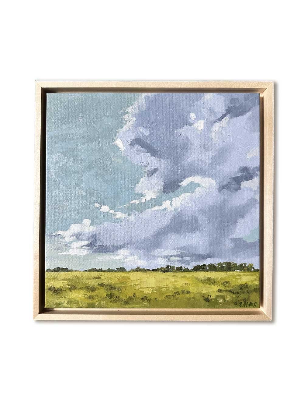 Beneath the Gathering Clouds