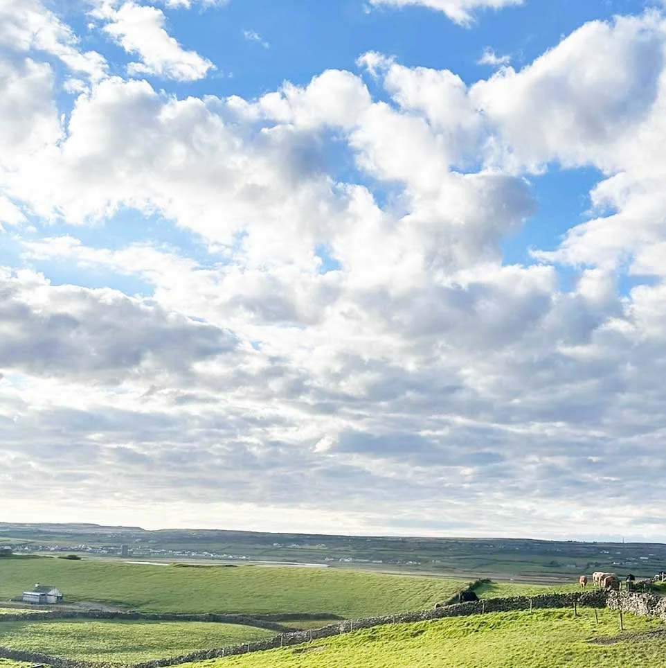 From Rest to Renewal: Ireland’s Landscapes &amp; Upcoming Boston Art Fair