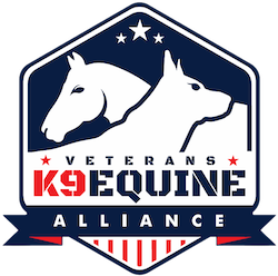 How Veterans K9Equine Alliance Supports Hope and Healing