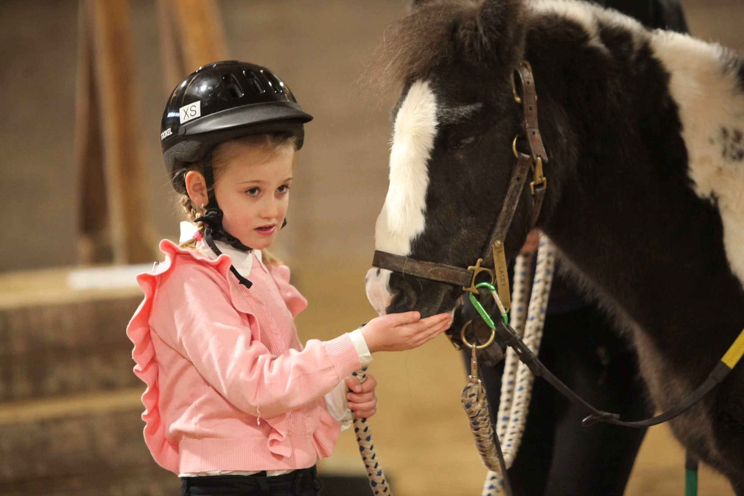 A young girl in a pink jacket and a black helmet is feeding a black and white horse in an indoor setting.