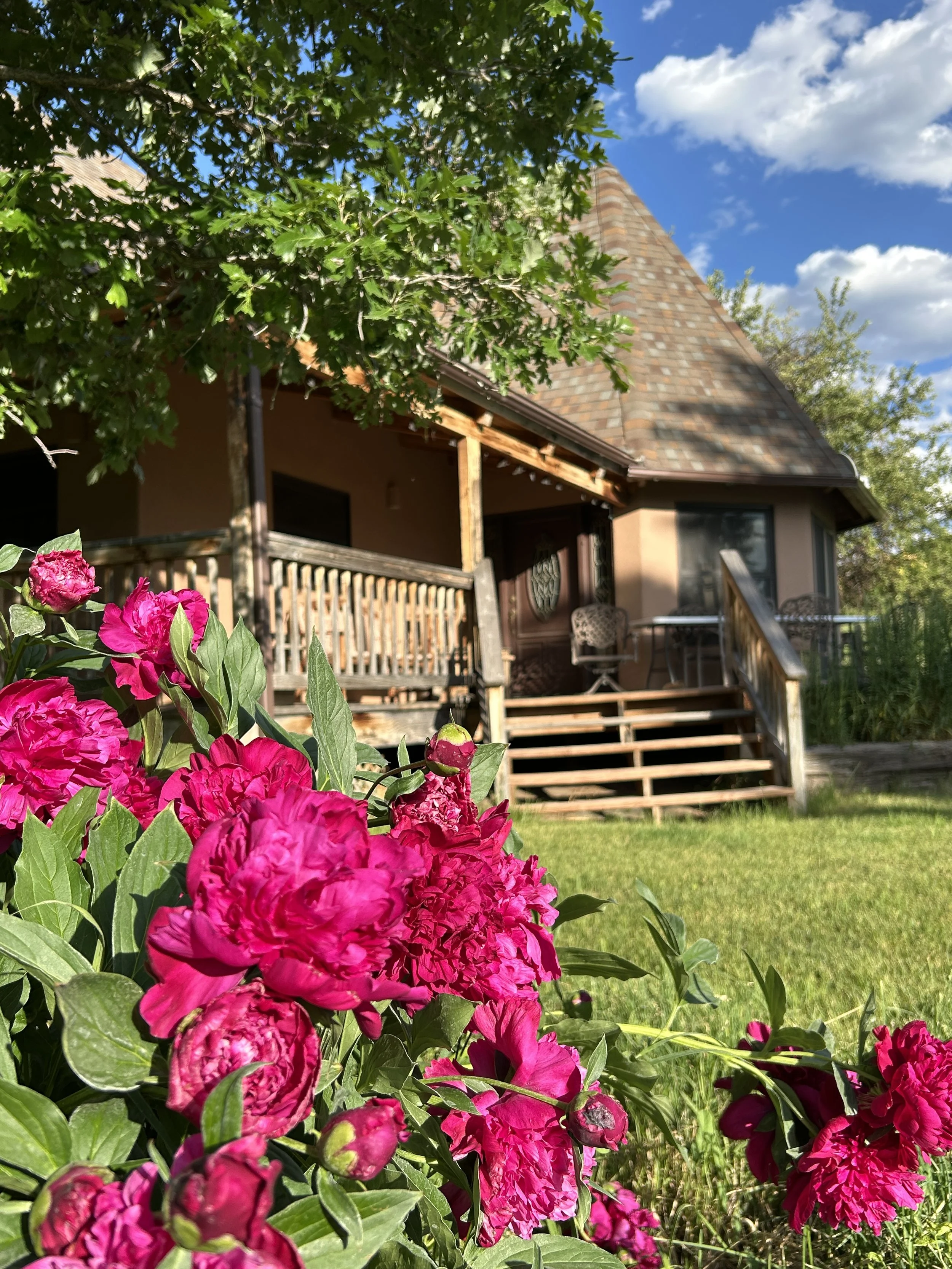 Front view of a house with a porch, wooden stairs, and chairs, surrounded by trees and vibrant pink peonies in the foreground under a partly cloudy blue sky.