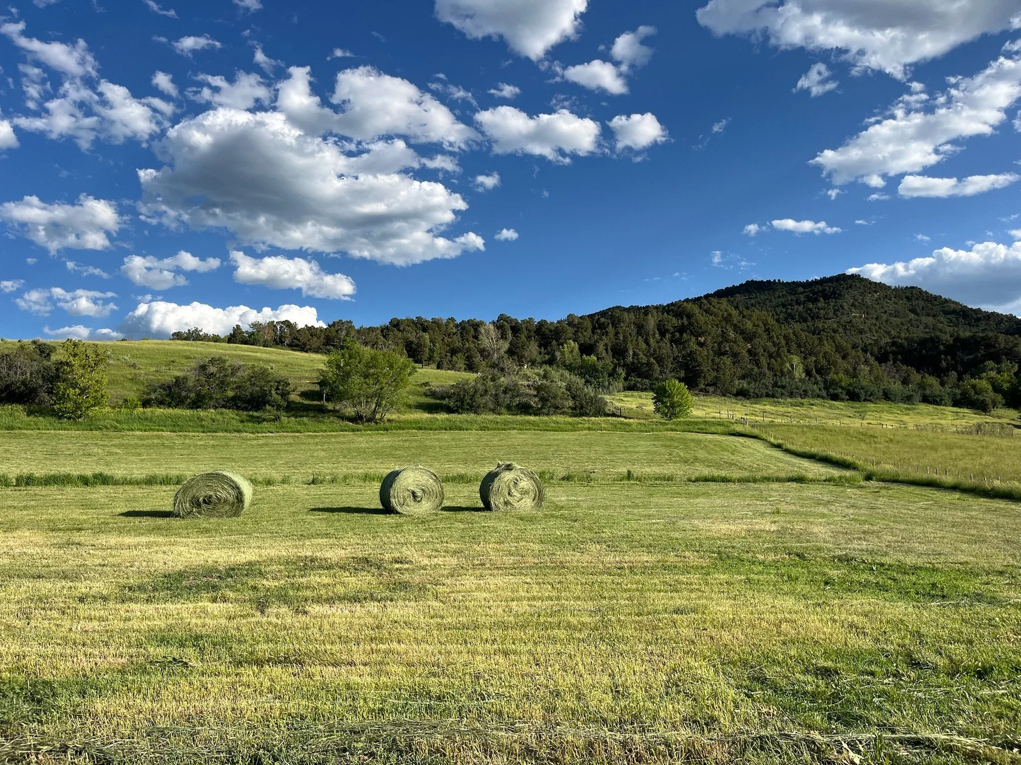 A scenic rural landscape with a grassy field and three hay bales in the foreground, a rolling hill with trees, and a blue sky with scattered clouds.