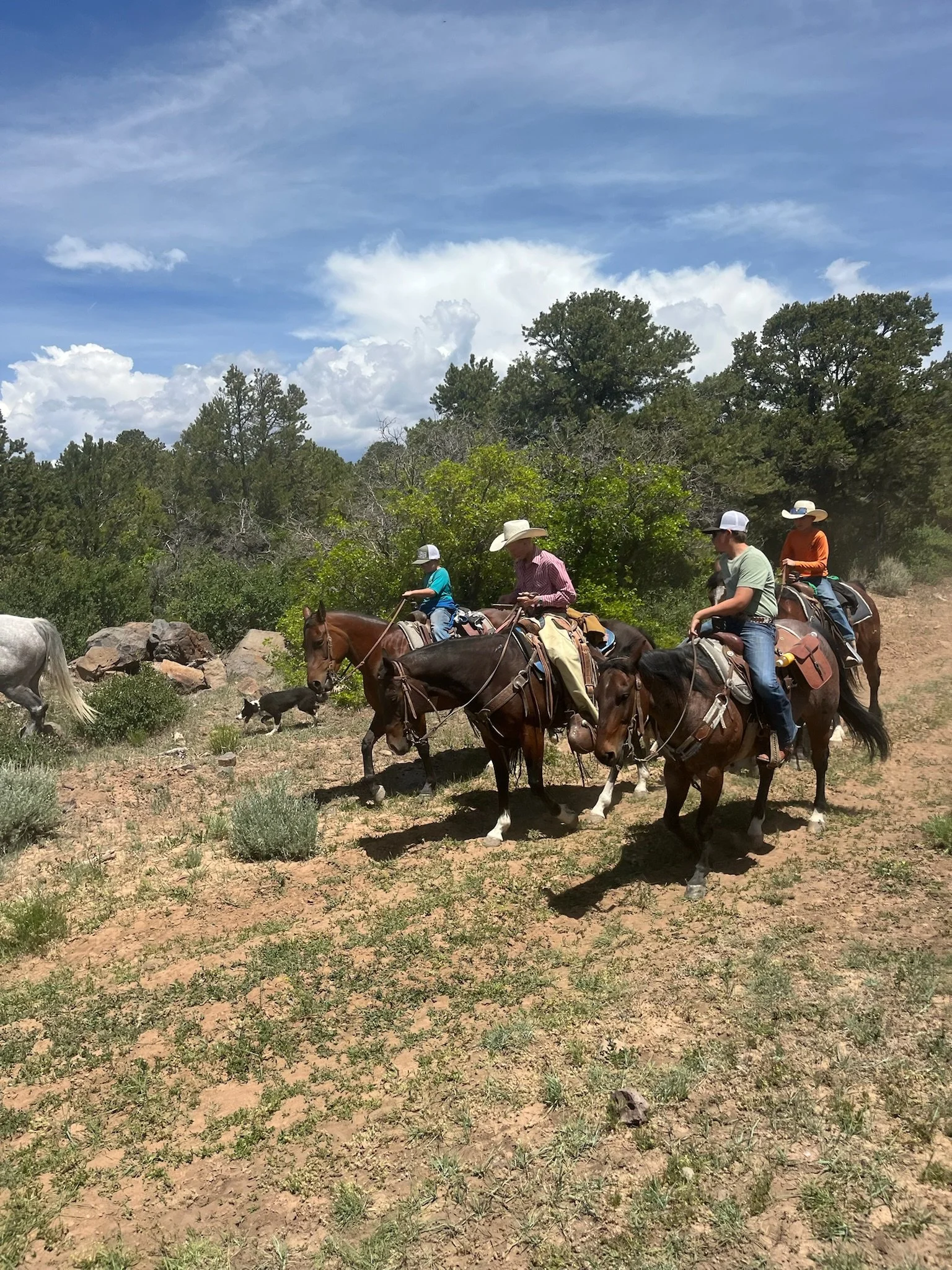 Four people riding horses on a trail in a rural area with trees and bushes, under a partly cloudy sky.