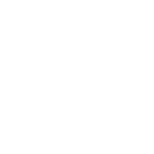 A white chalk drawing of a bouquet of flowers on a black background.