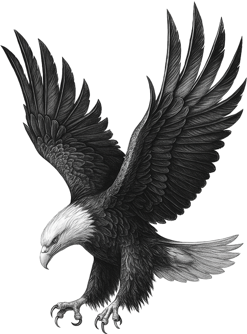 Black and white illustration of a flying eagle with wings spread wide.