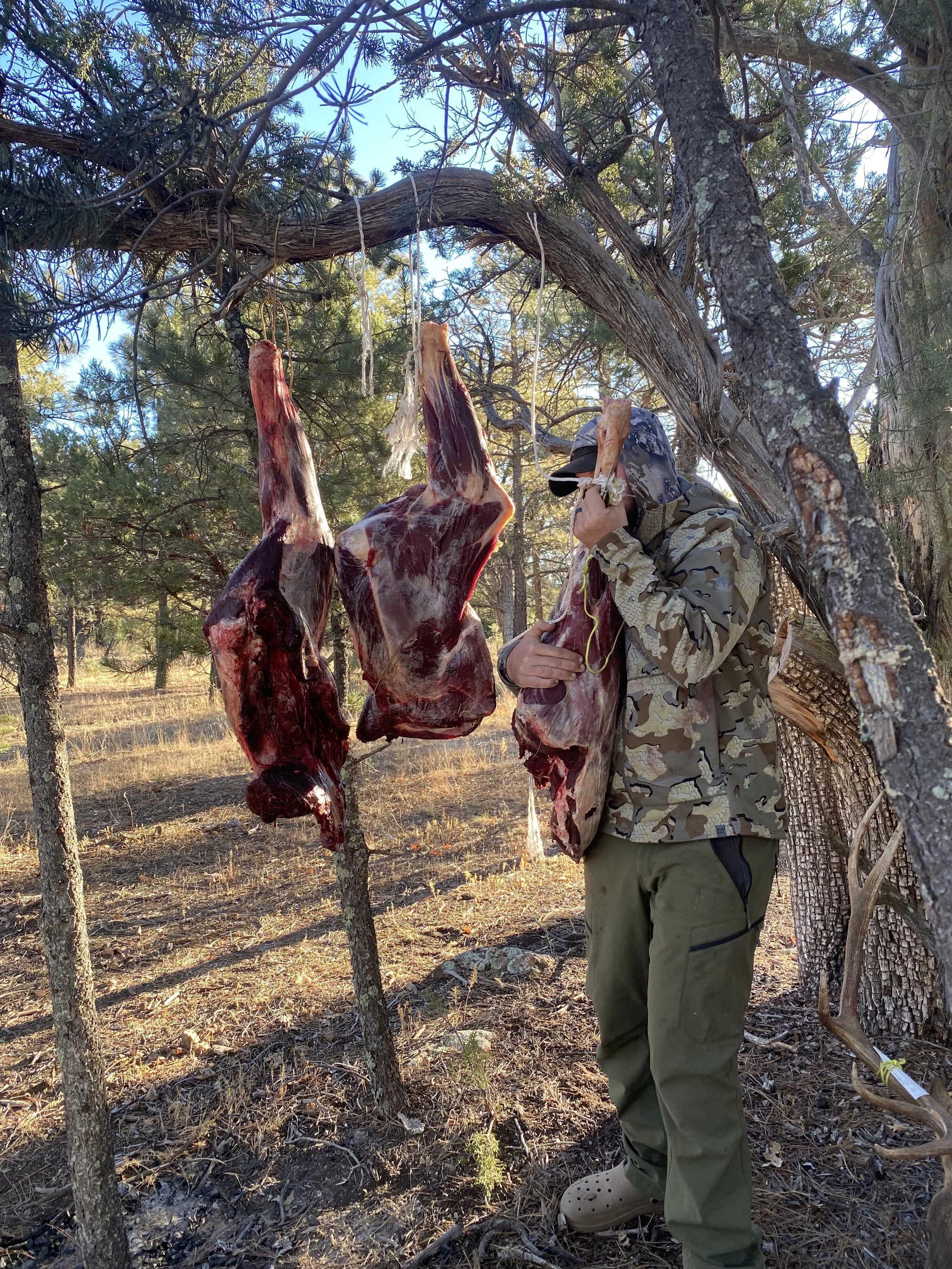 A man in camouflage clothing and a hat is talking on a phone, standing beside a tree with three large cuts of meat hanging from it in a wooded outdoor area during daylight.