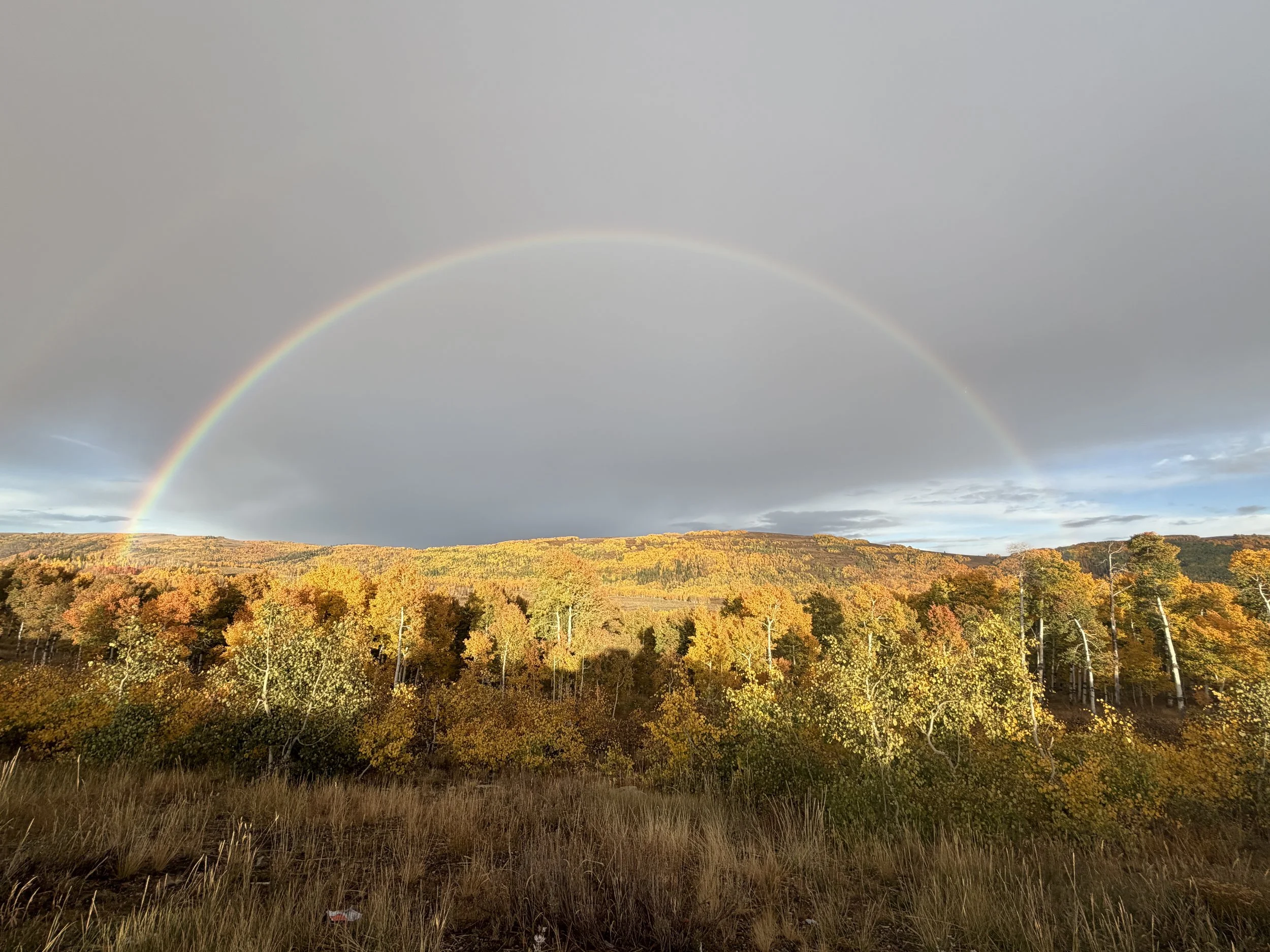 A landscape with a rainbow over a forest with autumn-colored trees and a cloudy sky.