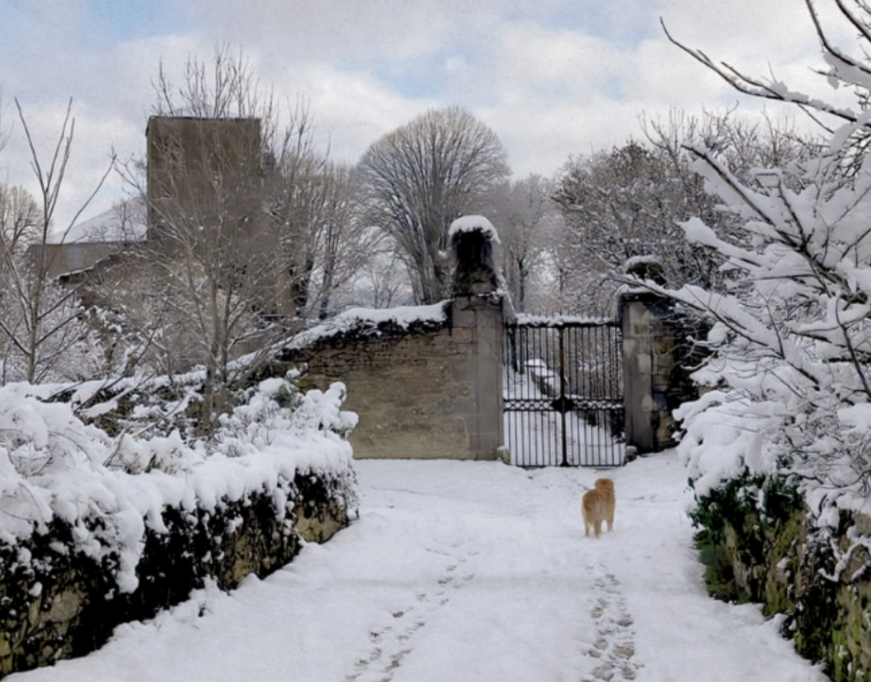 December 2025 Newsletter