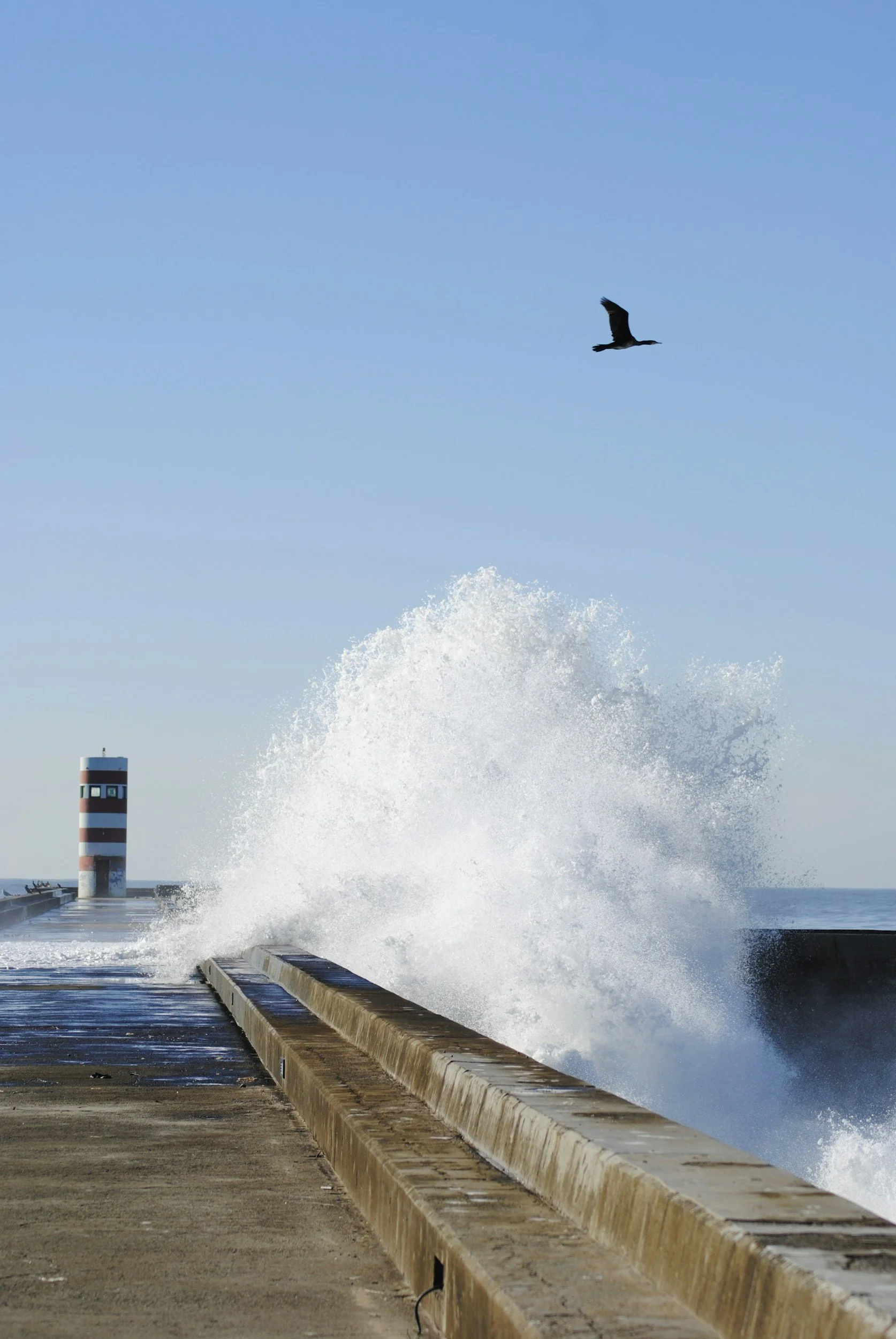 Porto // Foz do Douro
