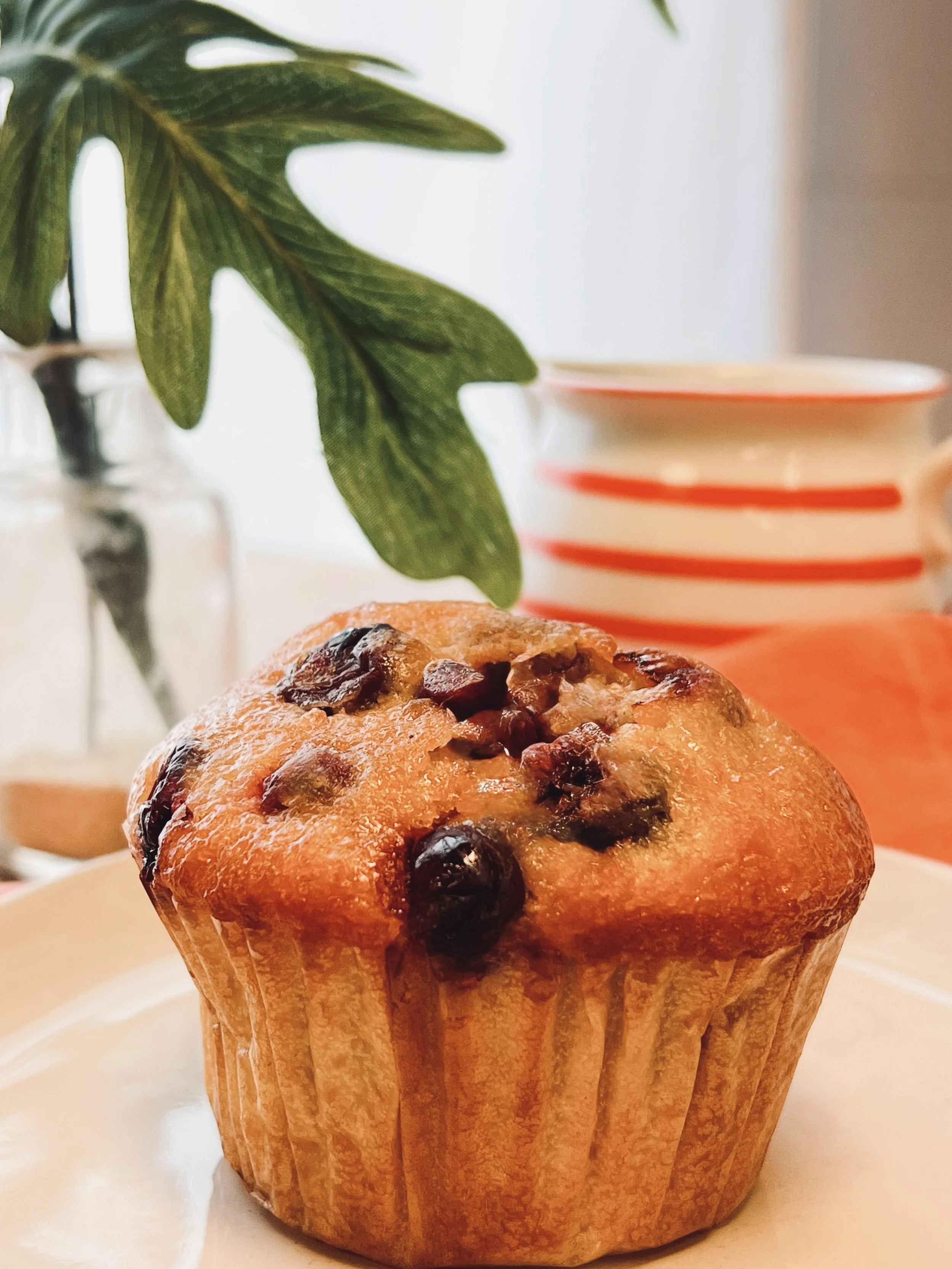 Close-up of a blueberry muffin in a paper cup on a white plate, with green leaves and a red and white striped cup in the background.