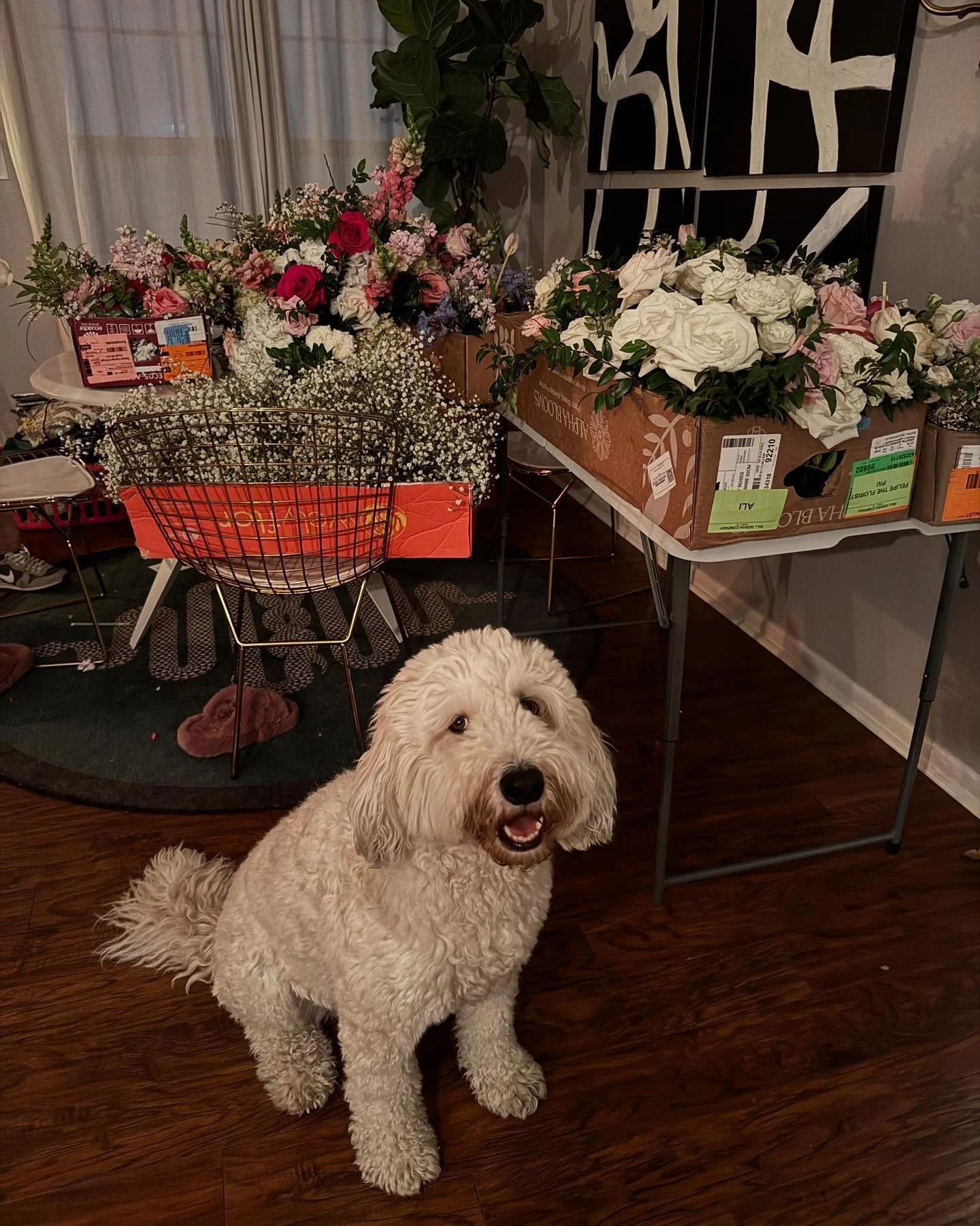 April wrap up! Donation from the Sandal&rsquo;s wedding at the Line hotel! Thank you Sara Rasor for volunteering to help with transportation and drop off and Felipe the Florist for working with us!! 🌟 
Florist - @felipetheflorist 
Planner - @eclipse