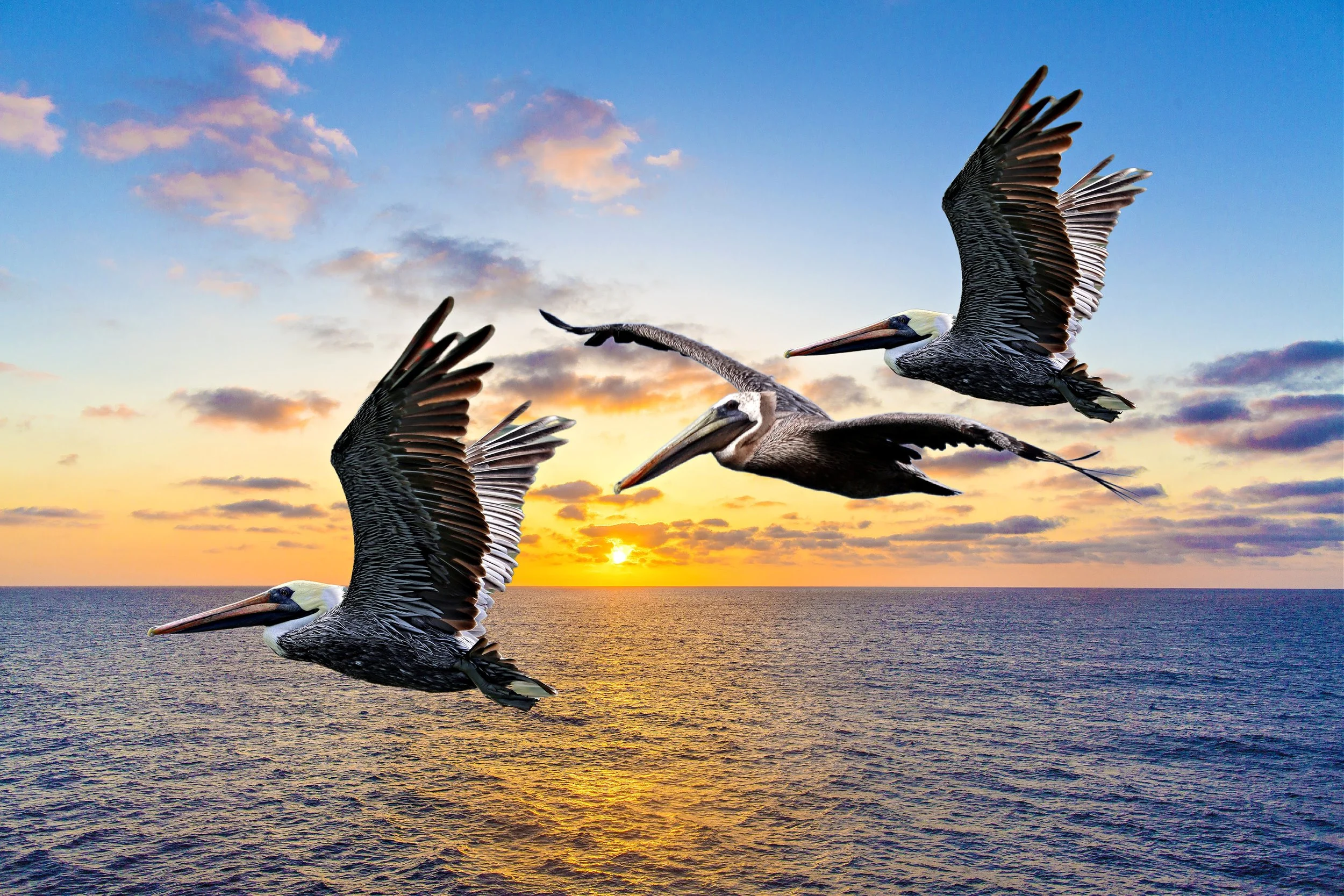 iStock-1343403514.jpg
