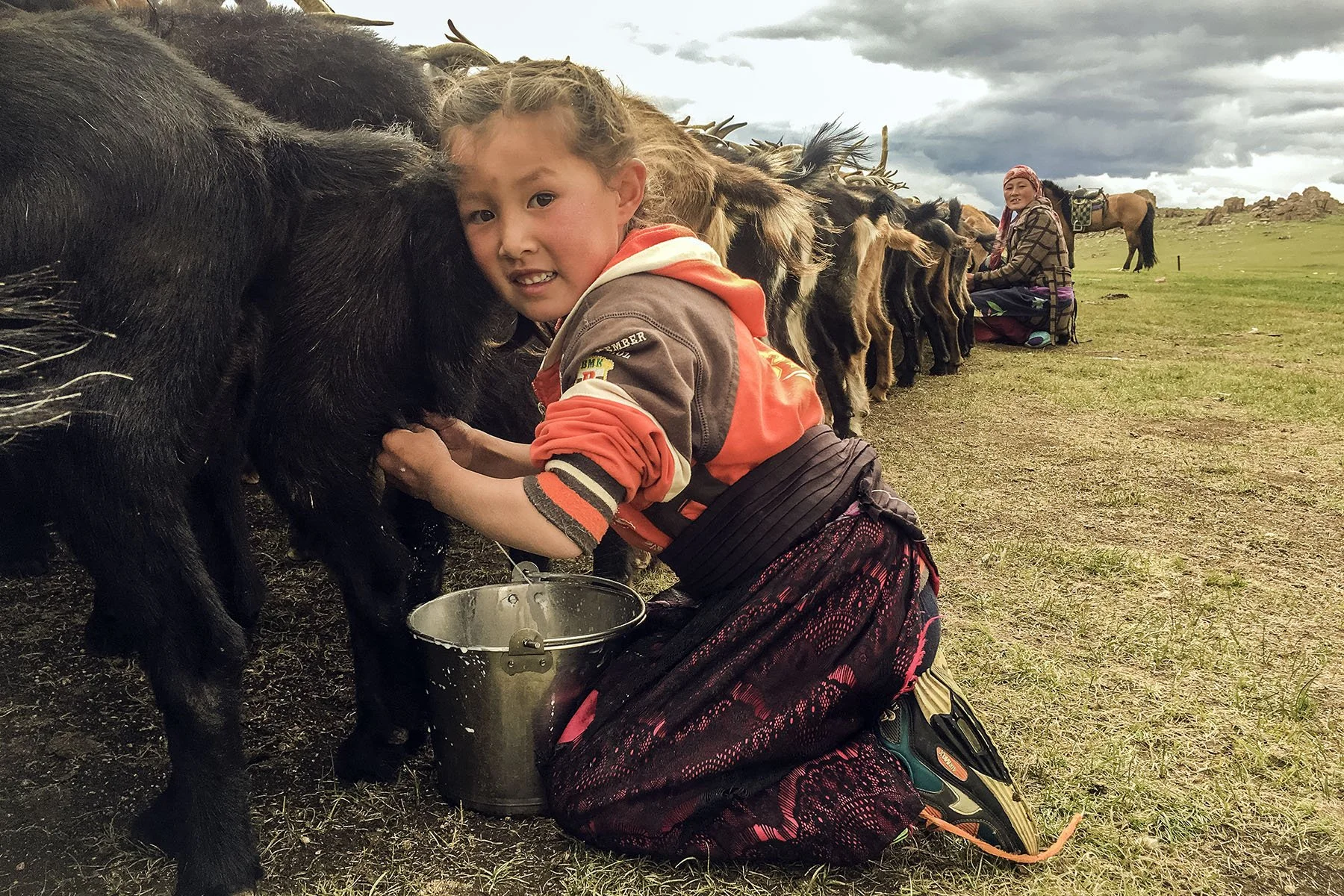 kazakhs_girl_milking_goat_bayan-olgii_ulgii_mongolia_1.jpg