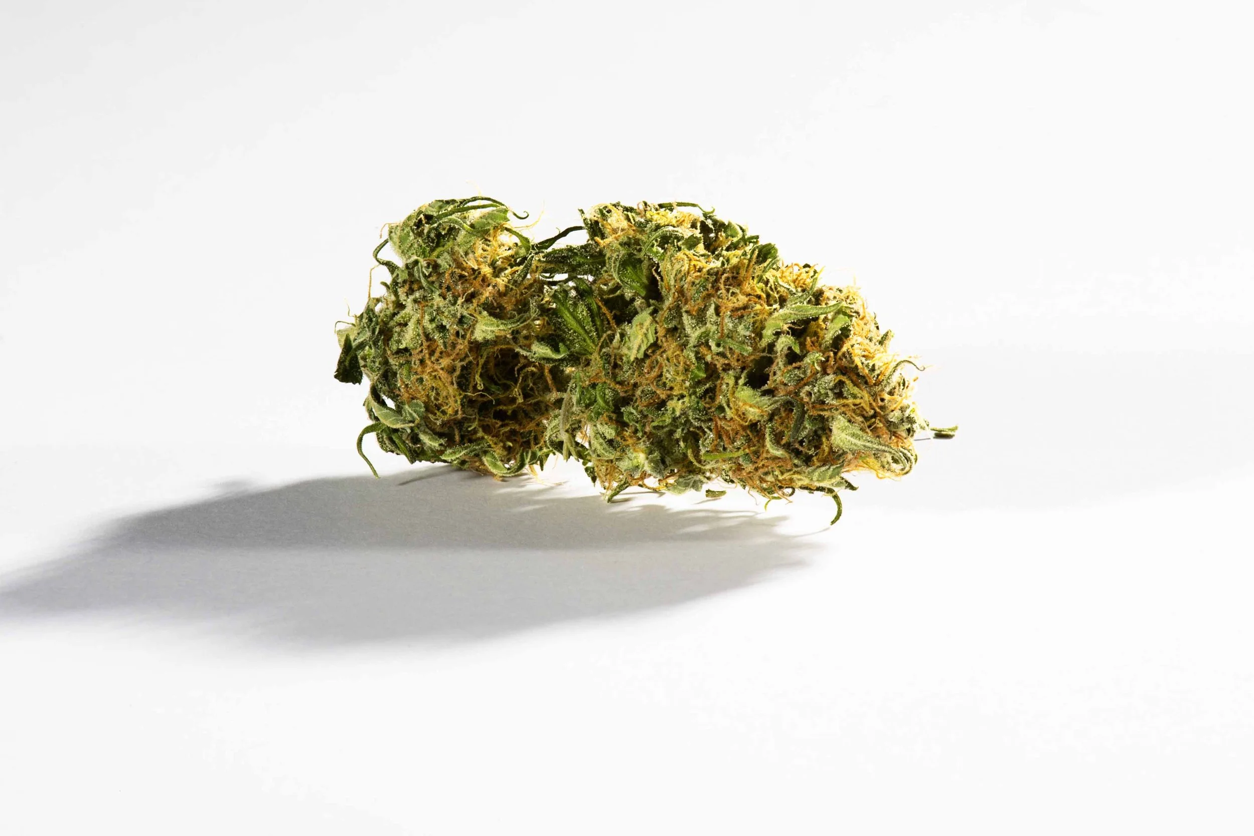 skittles_marihuana_product_commercial_photography_boston_6125.jpg