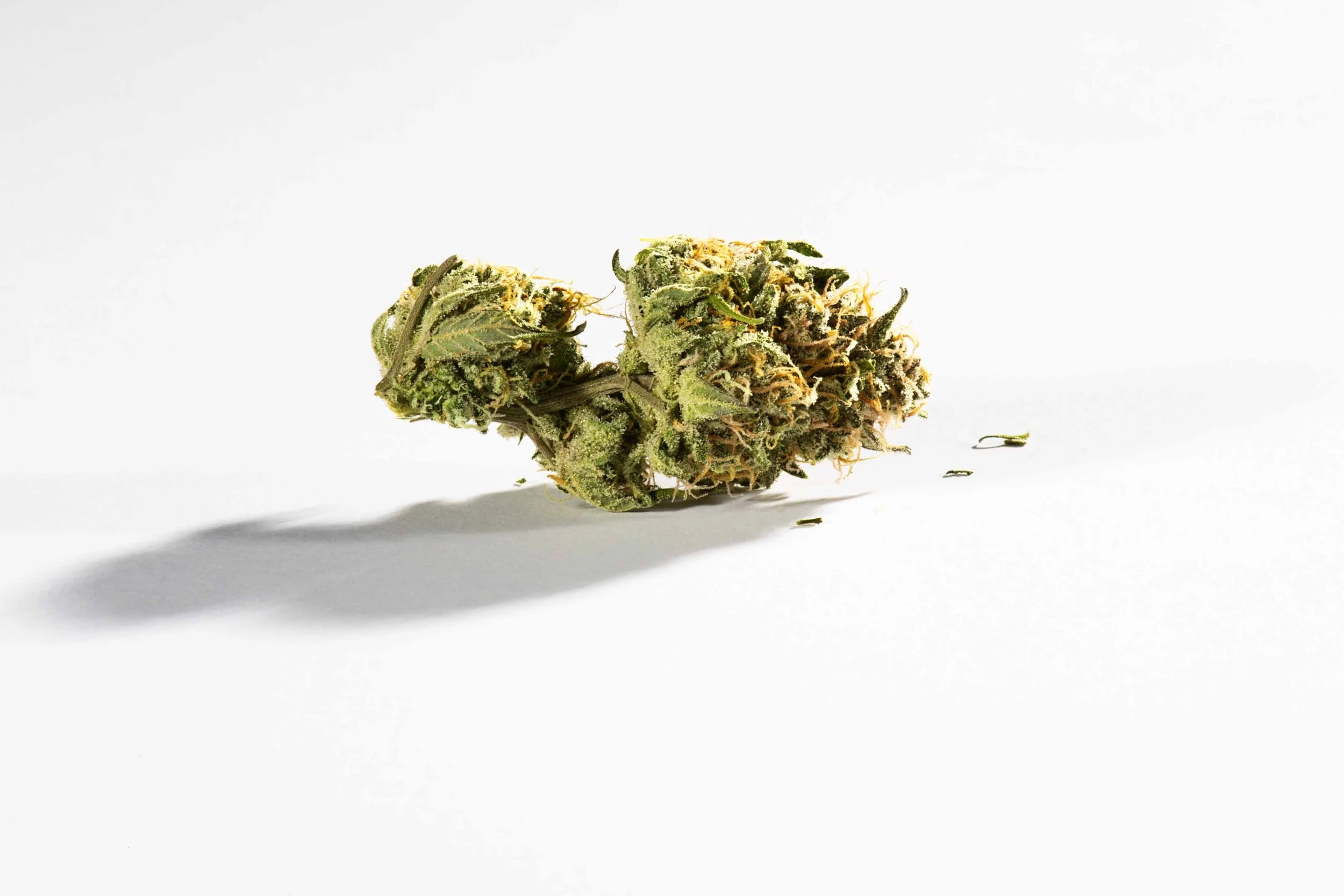 purple_marihuana_commercial_product_photography_boston_6128.jpg