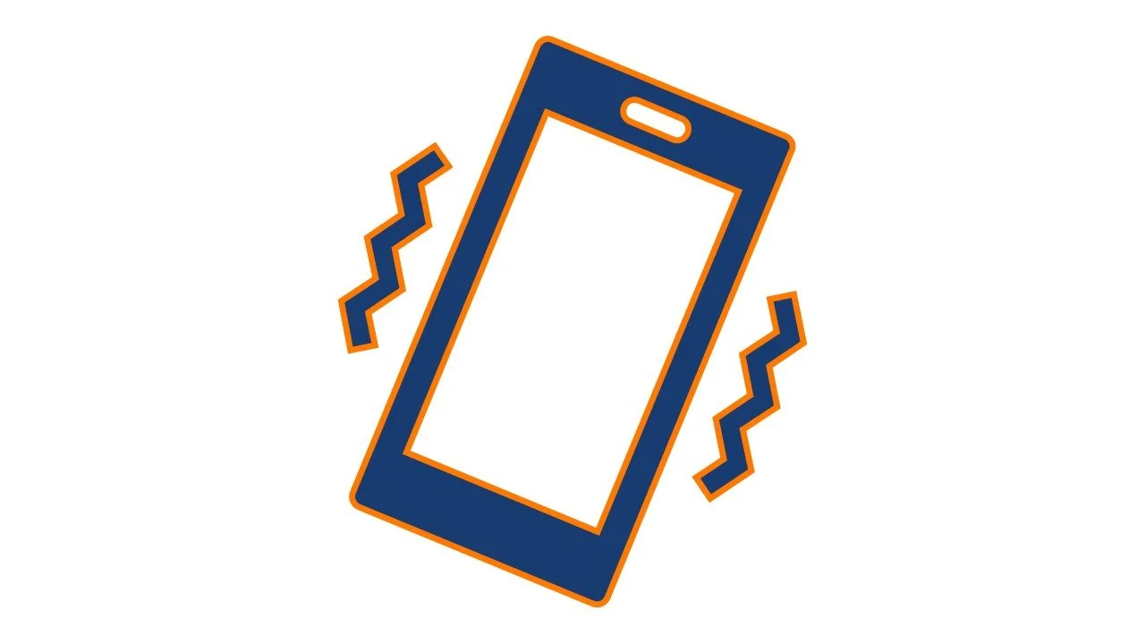 pet emergency plan, what happens to pets when owners are hospitalized, plan for your pet after death