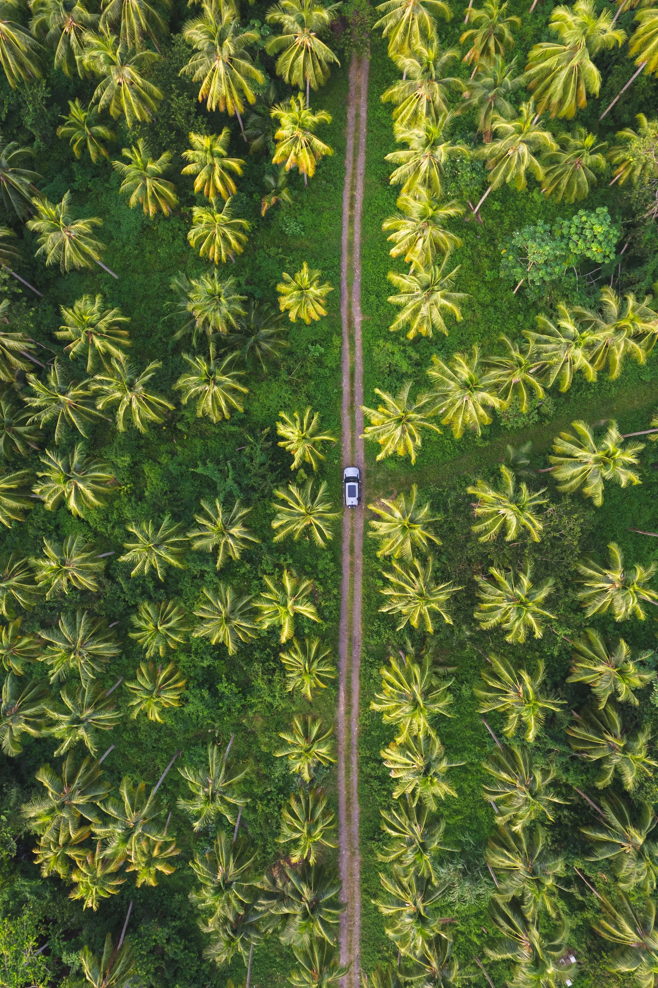 DJI_0225-min.jpg