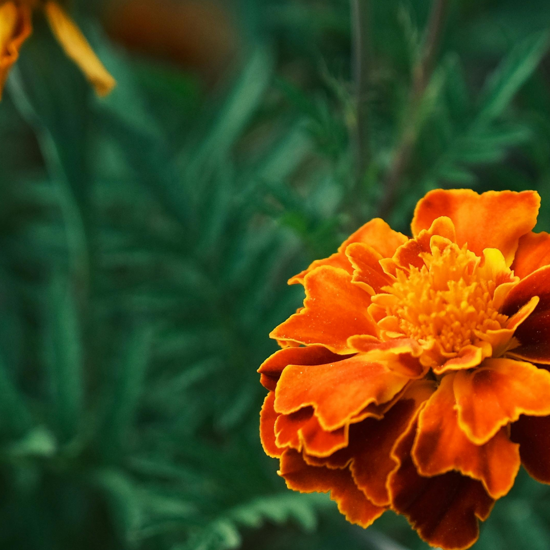 Feeling Small, Speaking Anyway