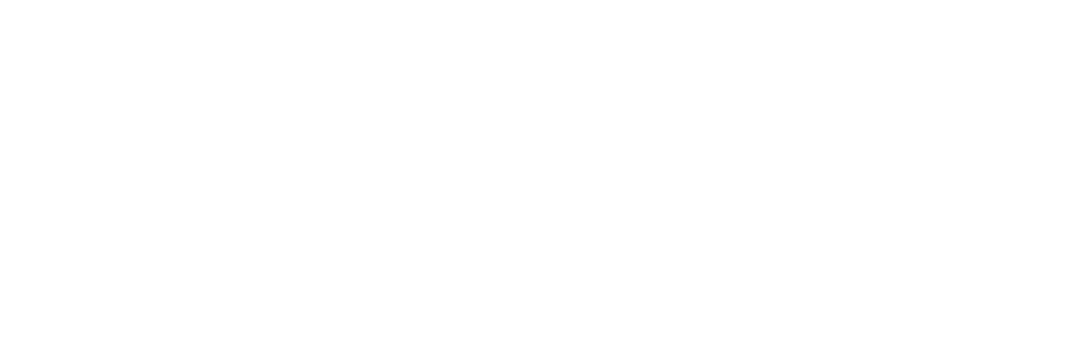 ChemGloss Mobile Auto Detailing 