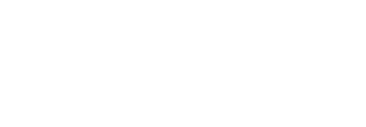 ChemGloss Mobile Auto Detailing 