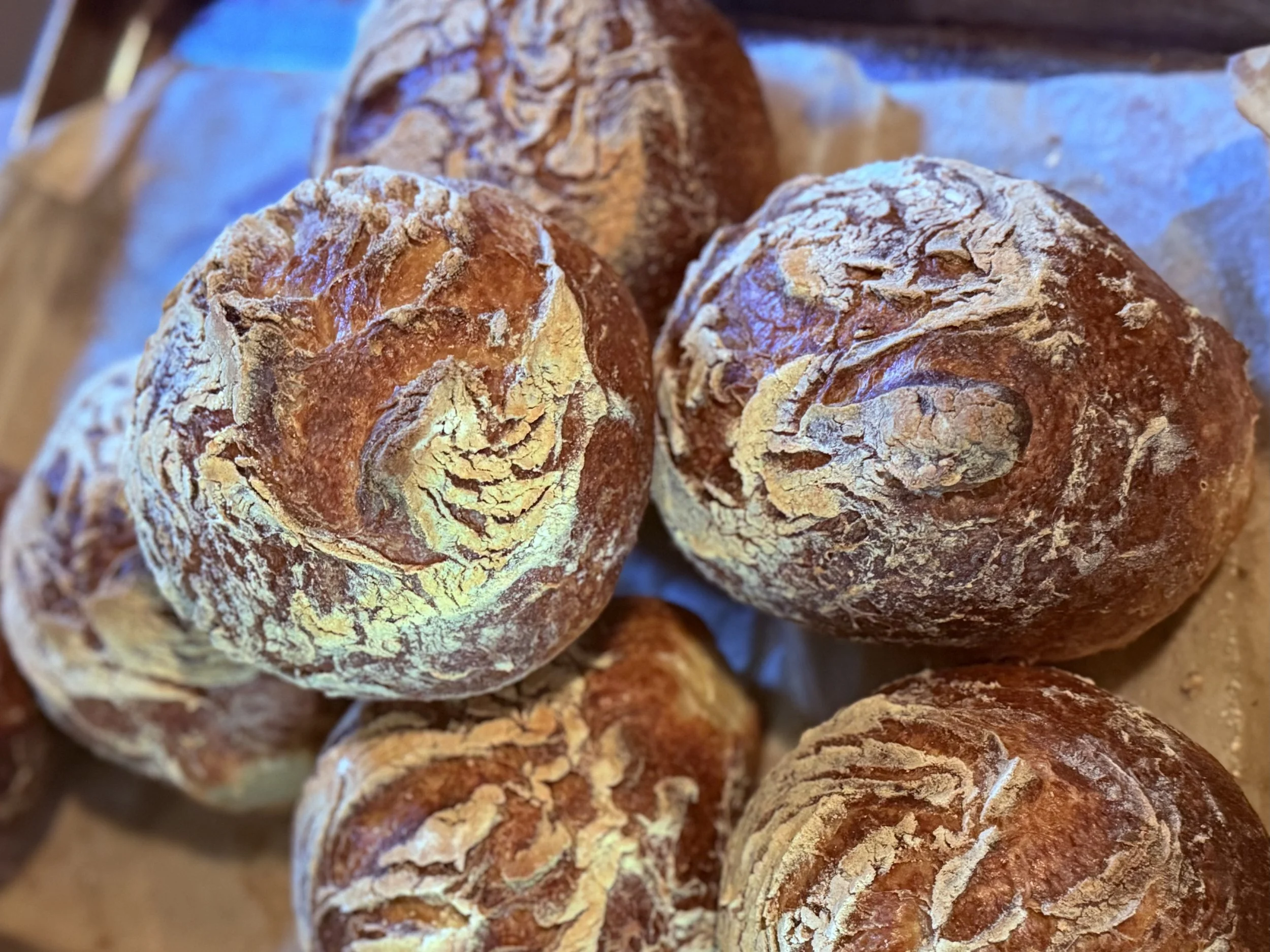 Sourdough .jpeg