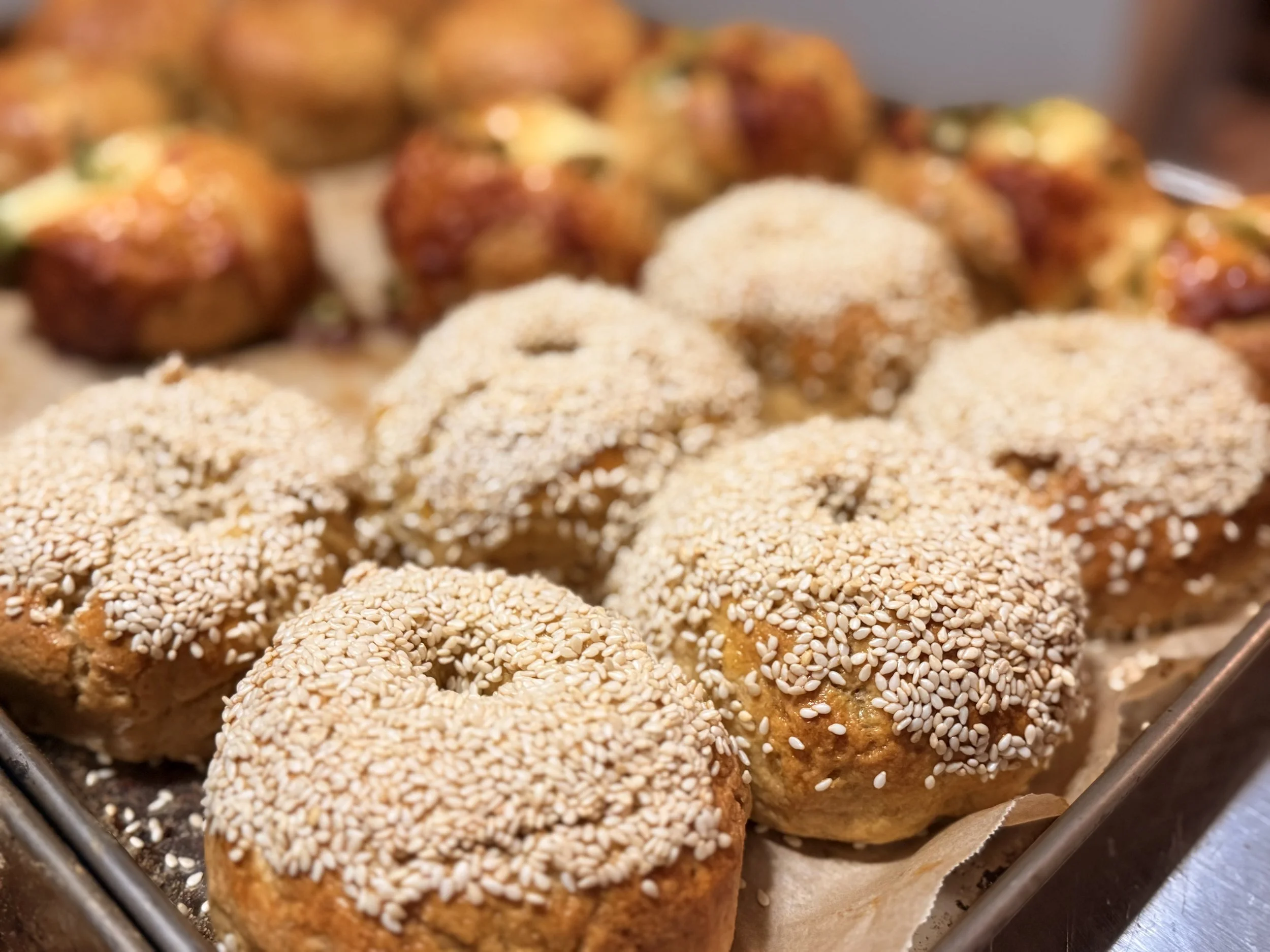 seeded bagels.jpeg