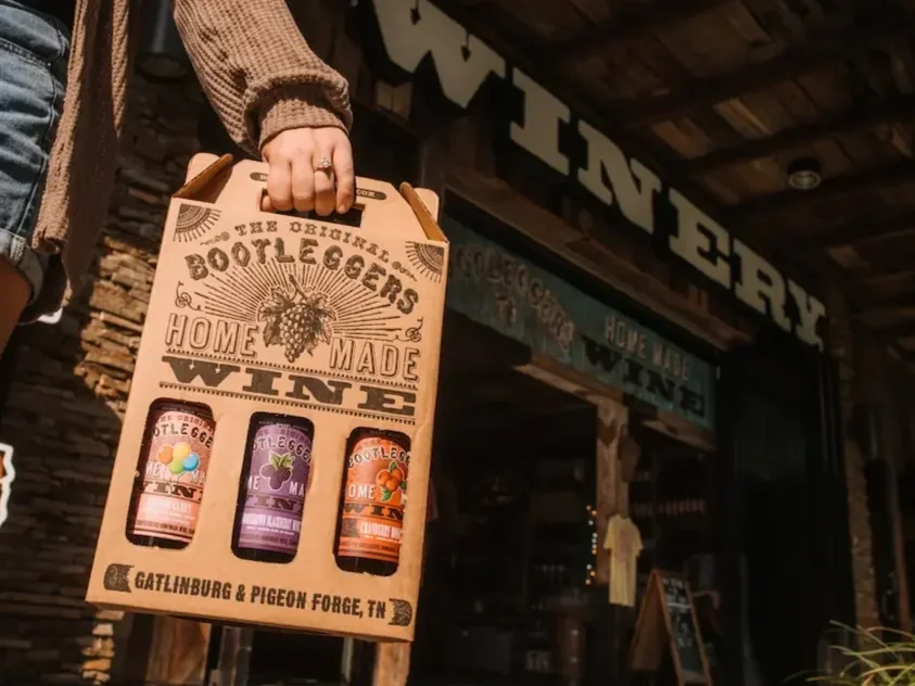 A mountainous landscape with snow-capped peaks in the background, grassy hills in the midground, and a modern building with wooden and stone exterior on the hillside.