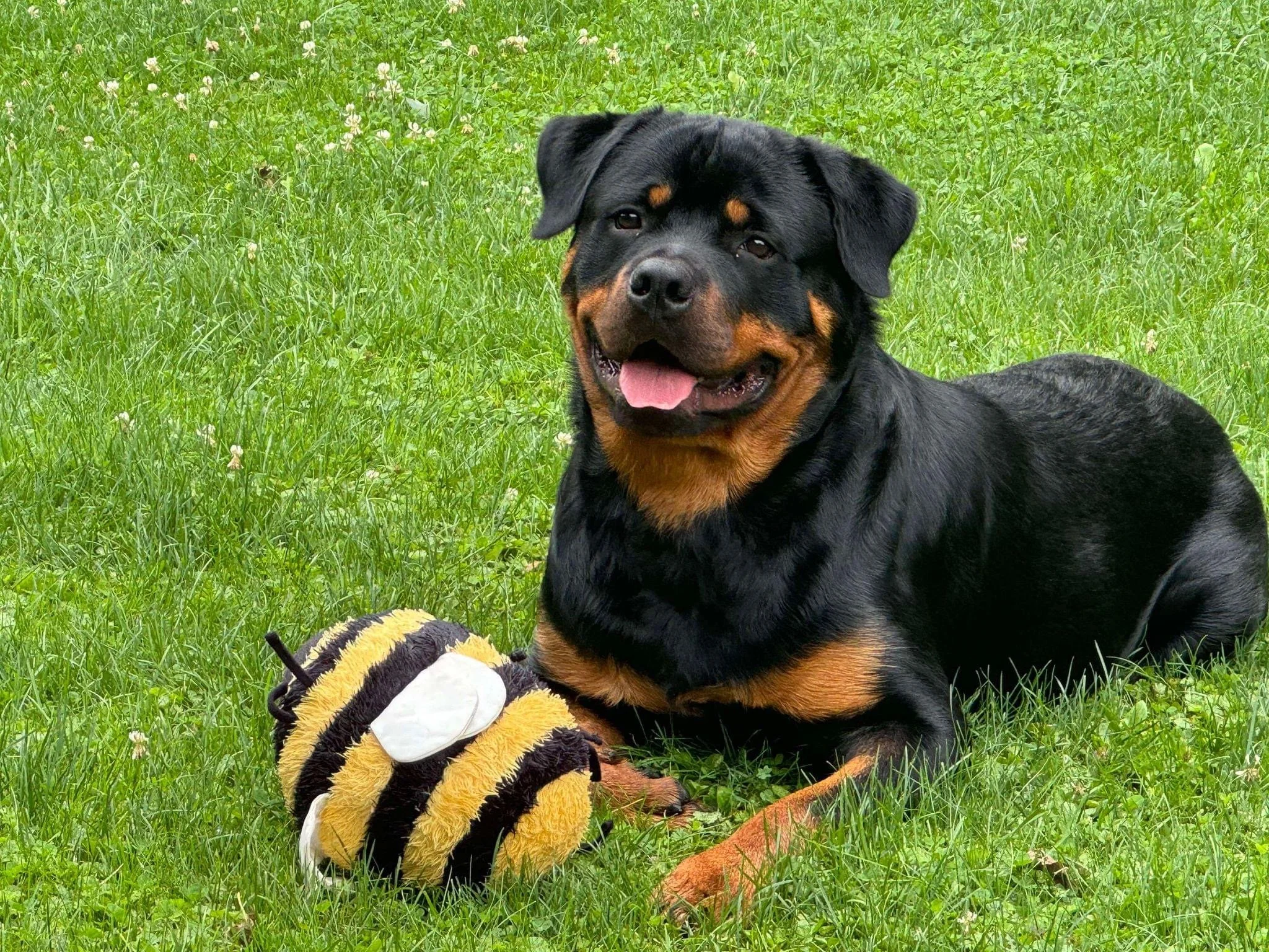 Extended Training Package - 8 Sessions