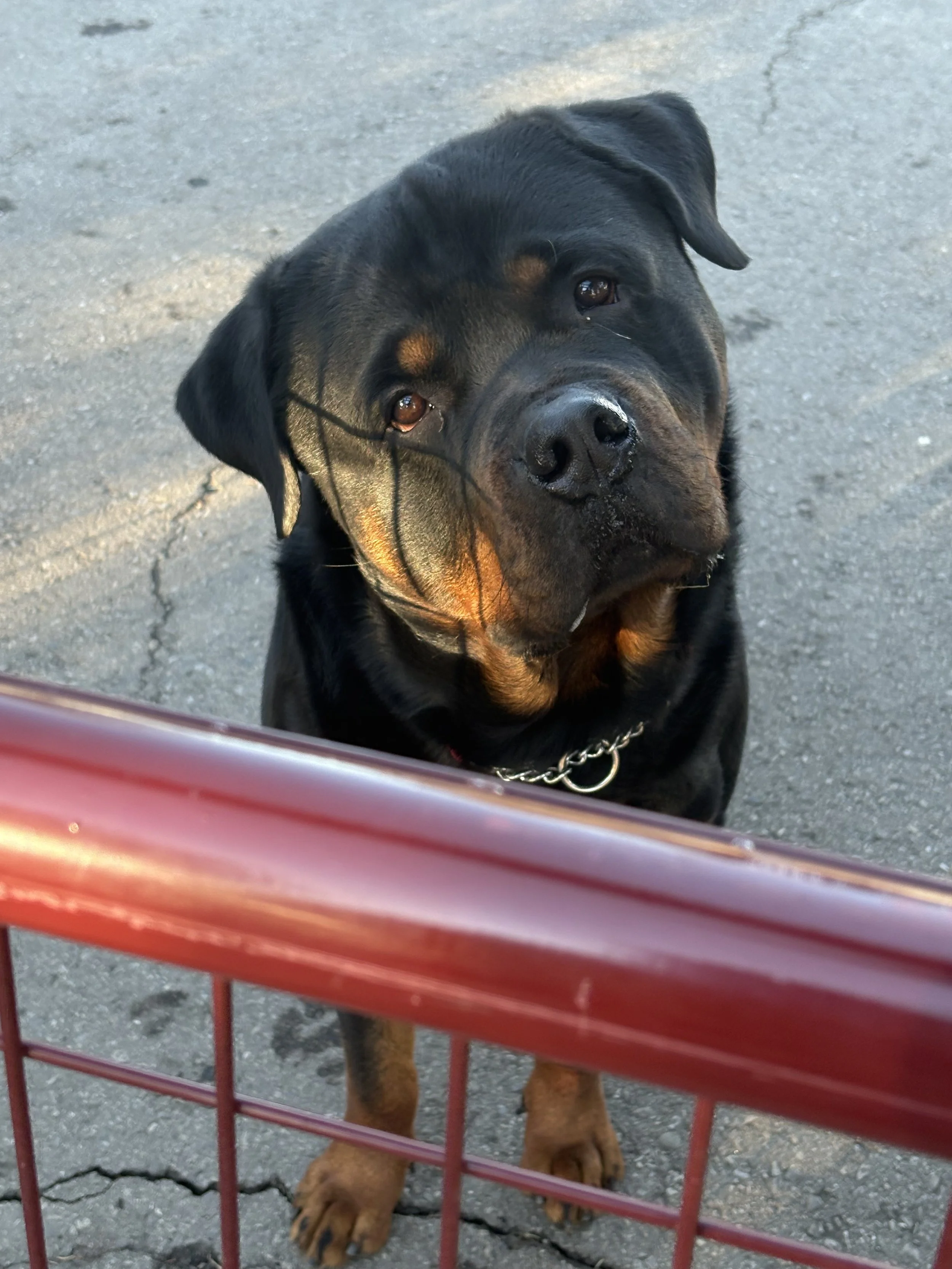 All In Training Package - 12 Sessions