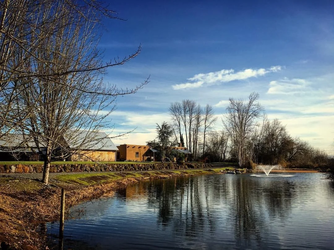 A serene lakeside scene with a clear blue sky, leafless trees, a fountain in the water, and a house in the background.