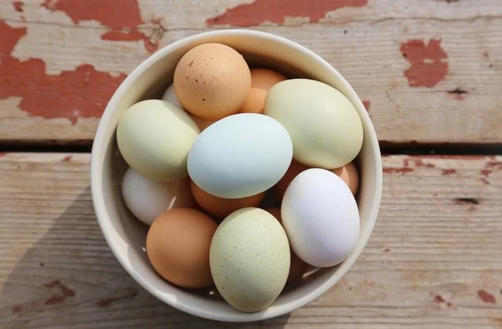 Farm Fresh Eggs (Dozen)
