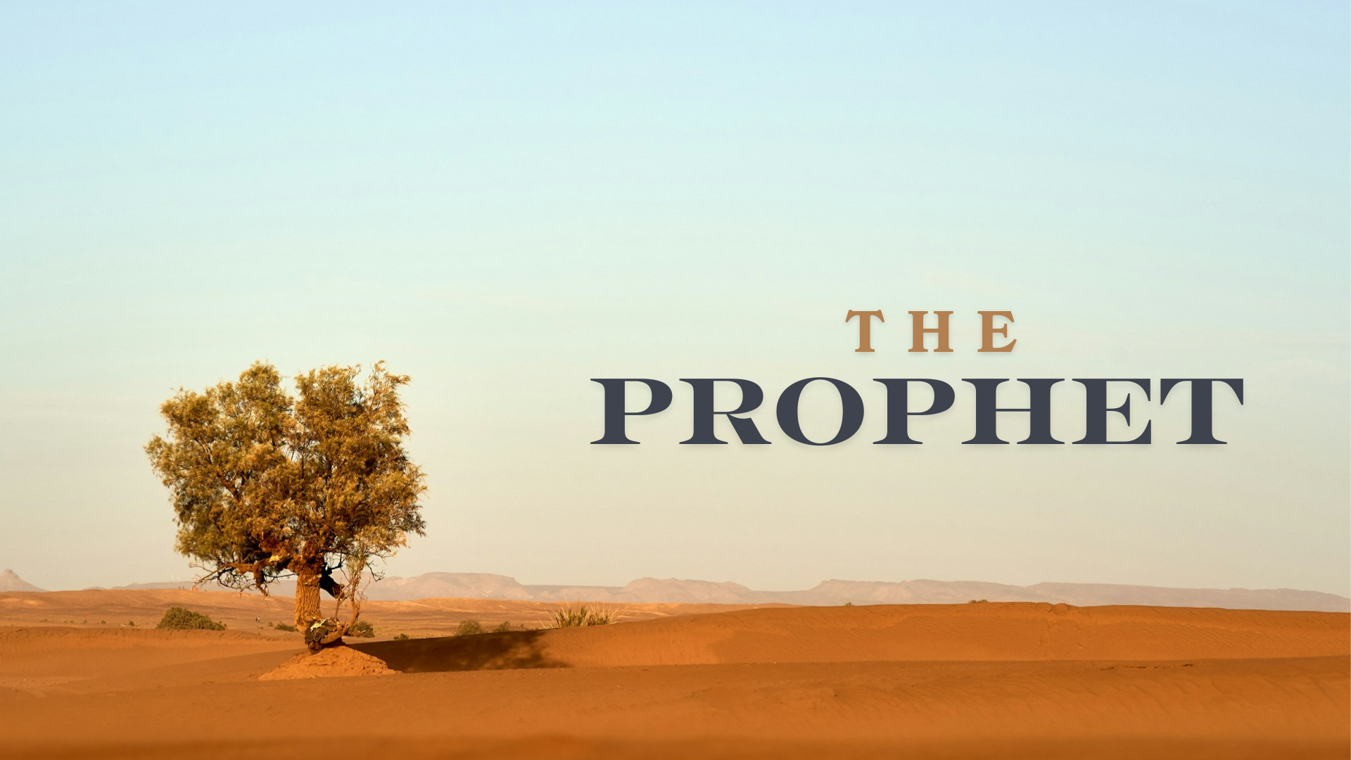 The Prophet - Week 7- Burnout