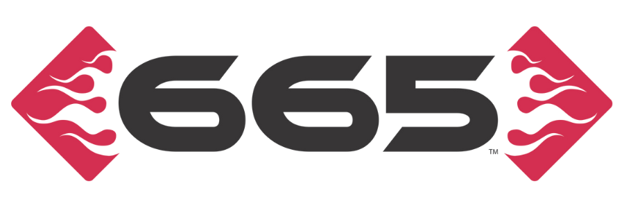 Logo with the text 'G65' in bold black font, surrounded by red diamond shapes with pink accents.