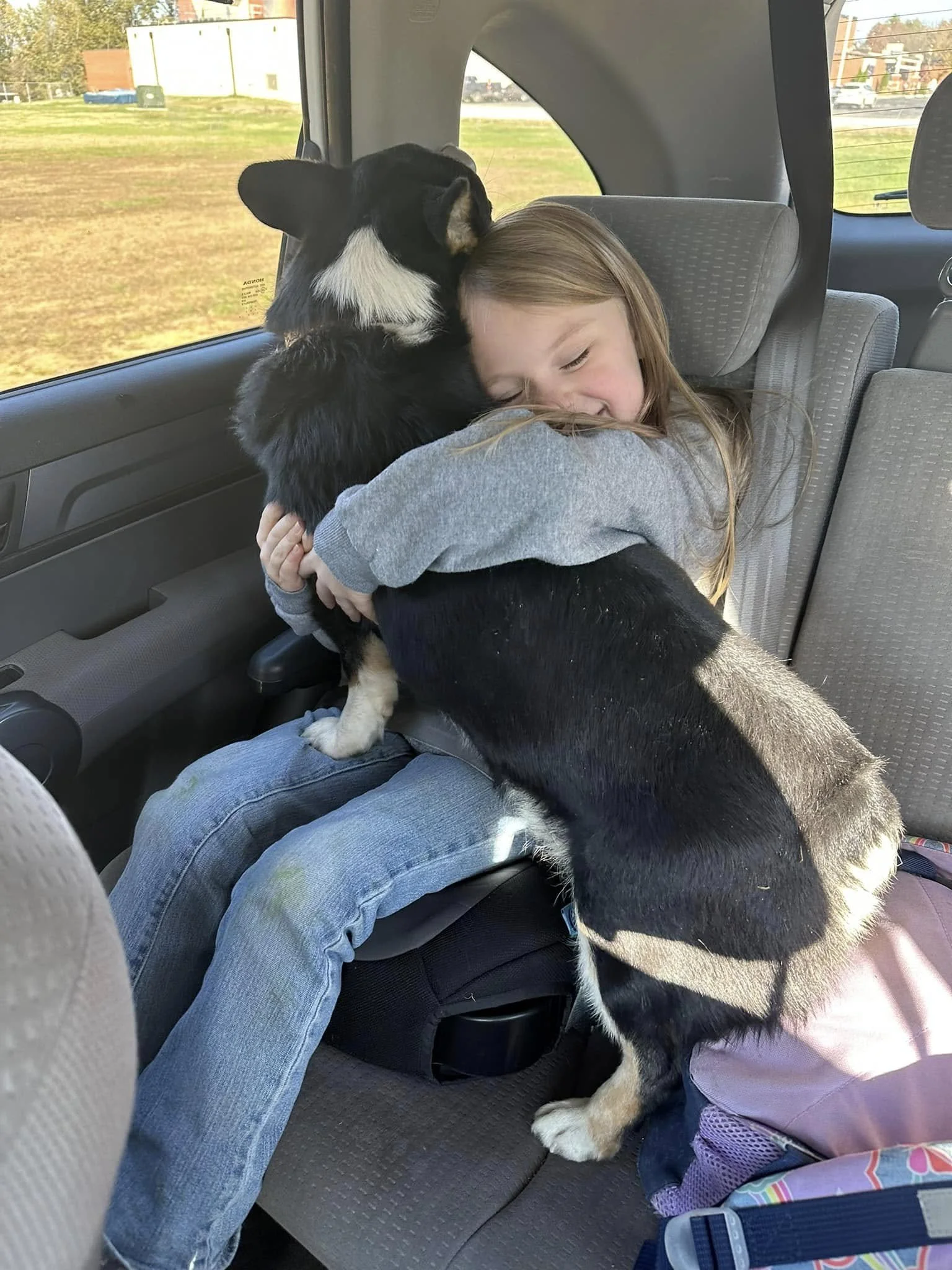 A young girl hugging a black and white dog inside a vehicle, with the girl smiling and appearing happy.